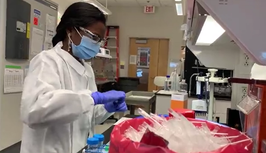 COVID 19 Variants LAb.png