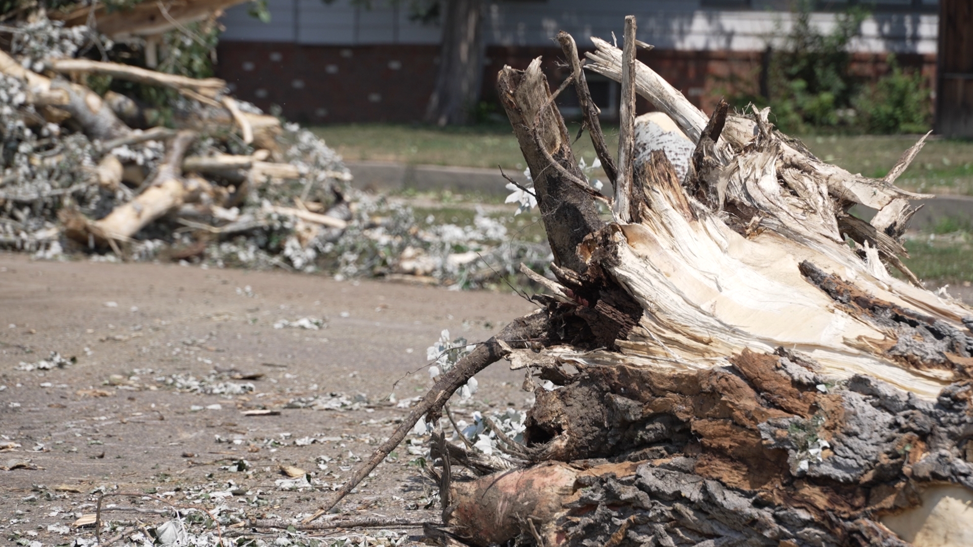 Miles City Storm Damage