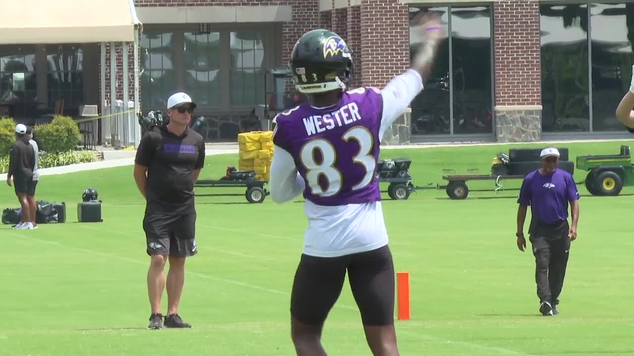 Ravens fine-tune roster as competition heats up at training camp