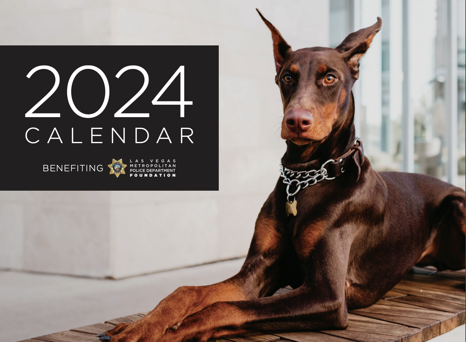 Dogs of Downtown Summerlin 2024