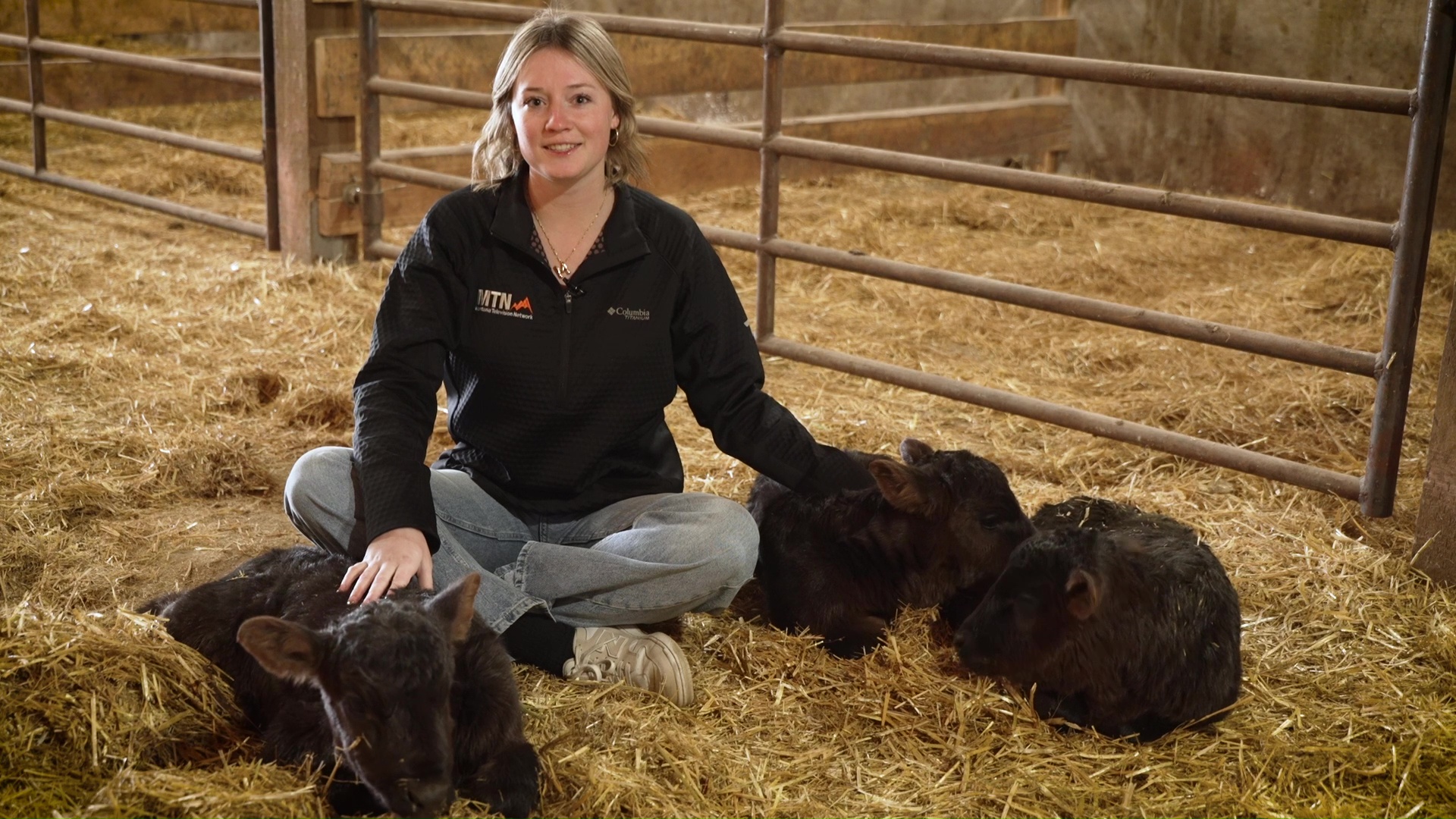 Cow gives birth to triplets in Augusta