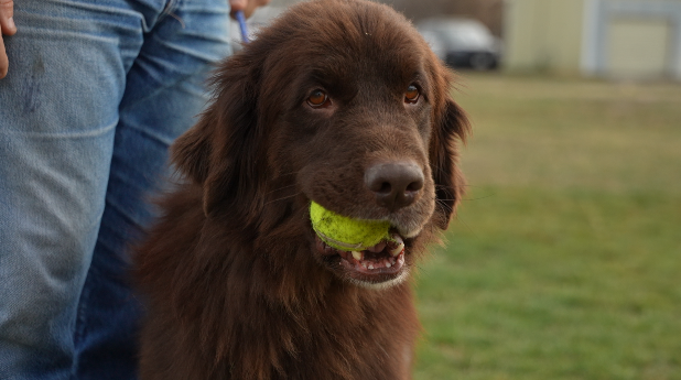 Screen Shot 2025-11-15 at 6.48.23 PM.png