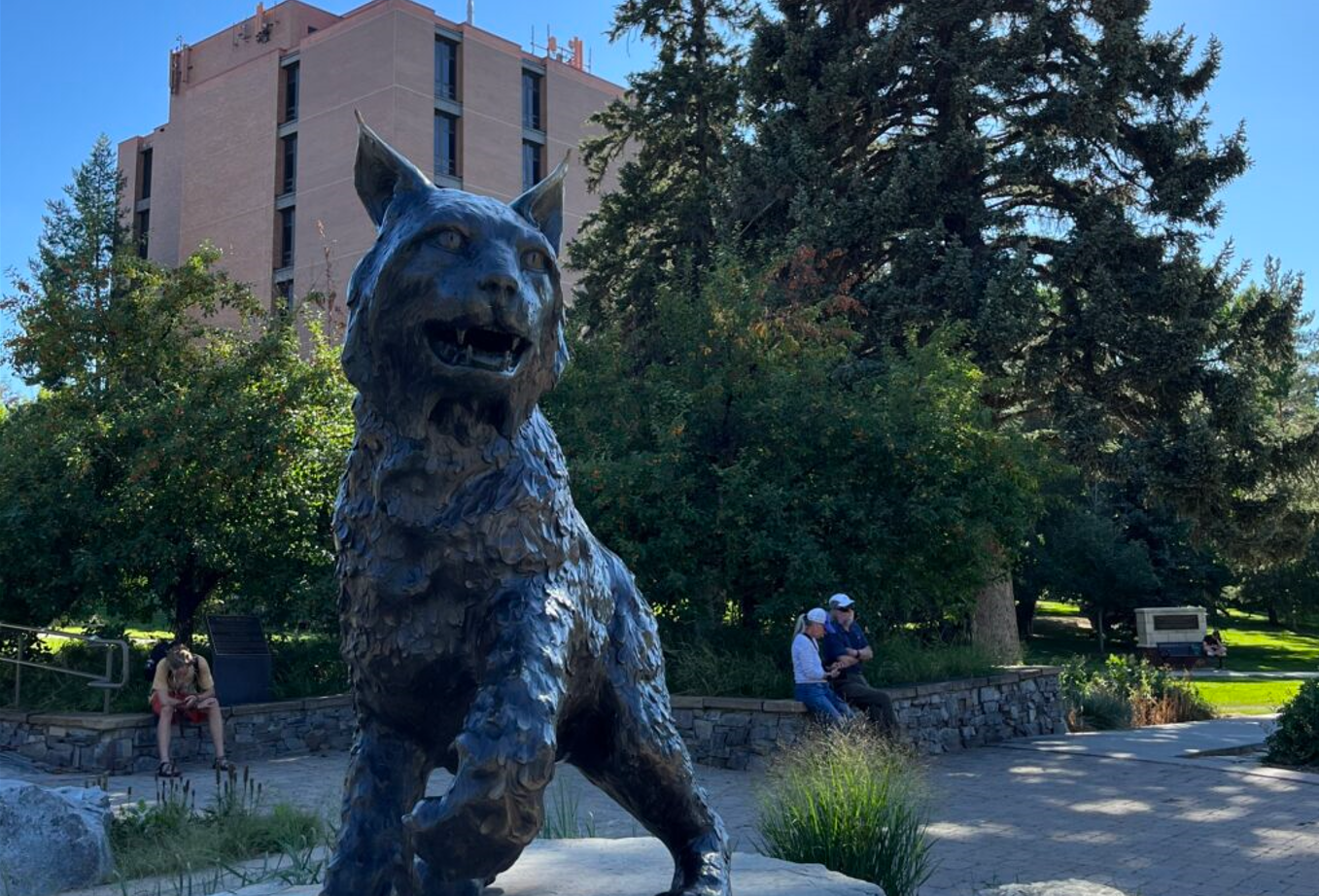 msufeds2.png
