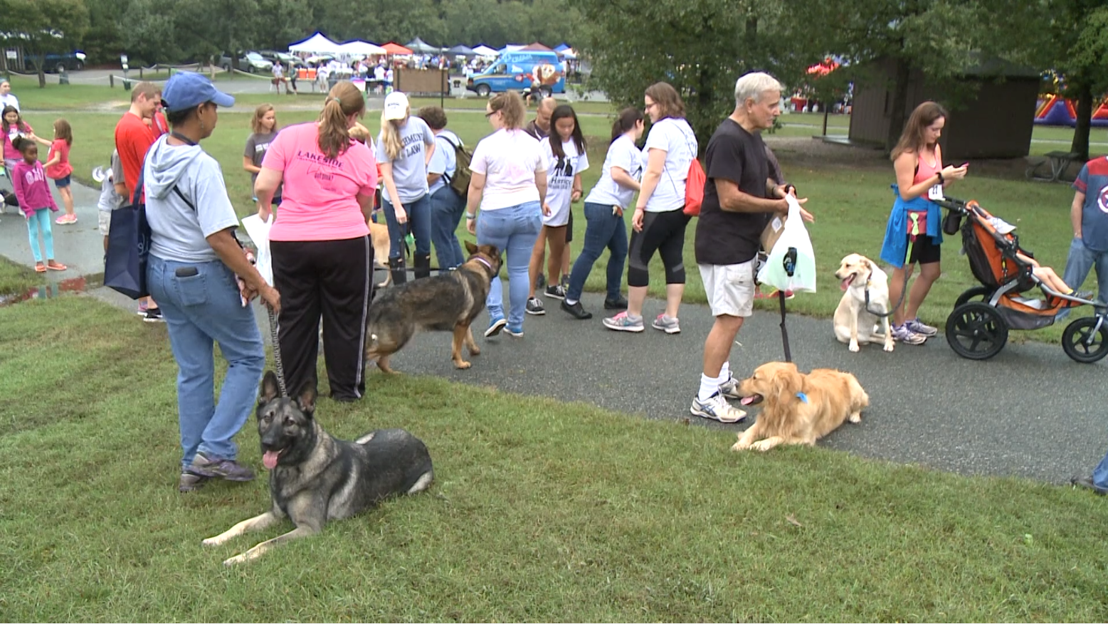 bark in park.png