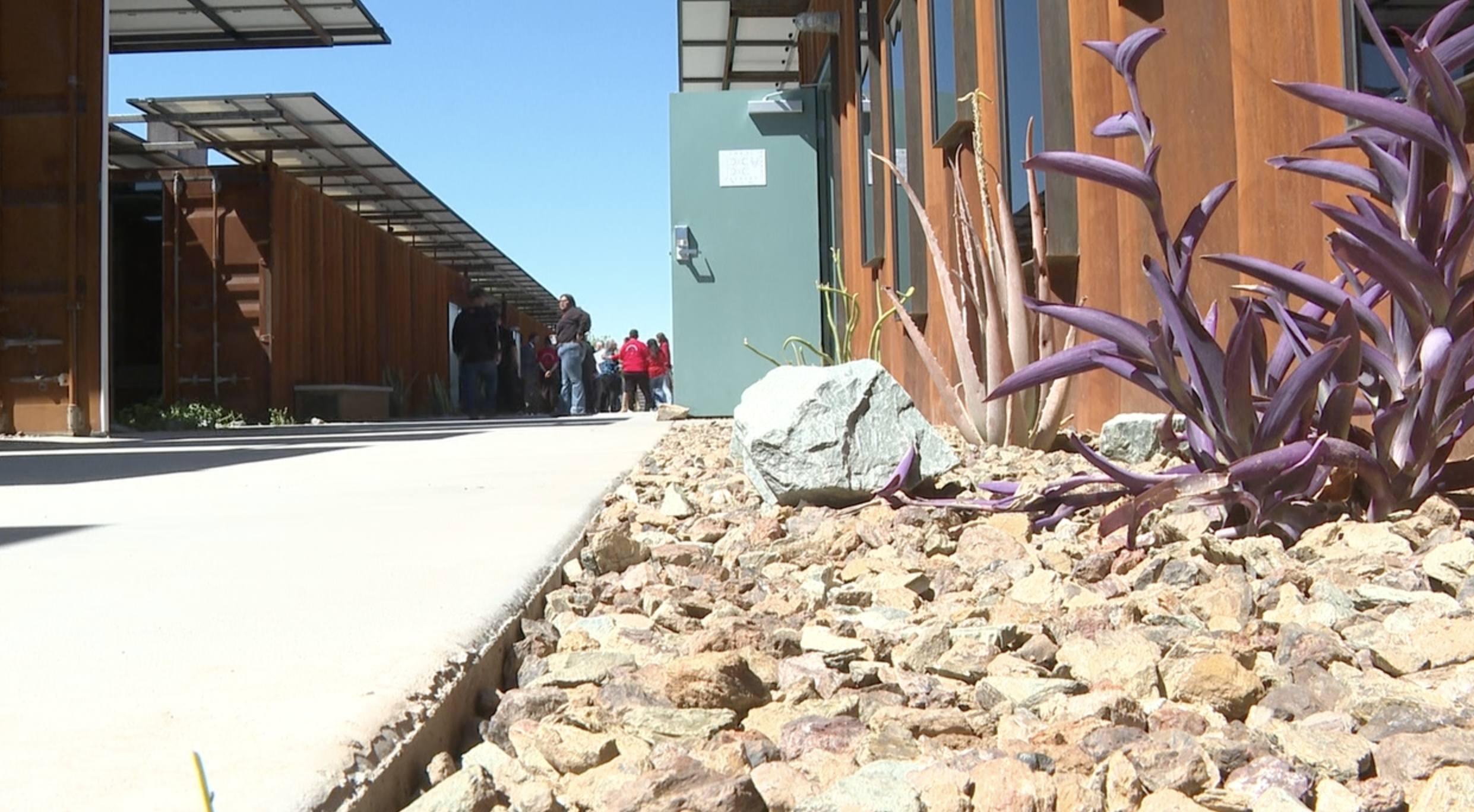Senior Bridge Grand Opening