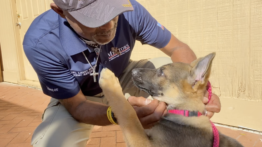 wounded warriors-service dog (1).png