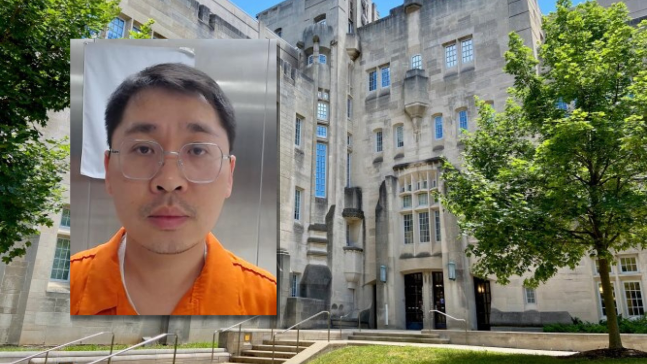 Basic graphic (9).png