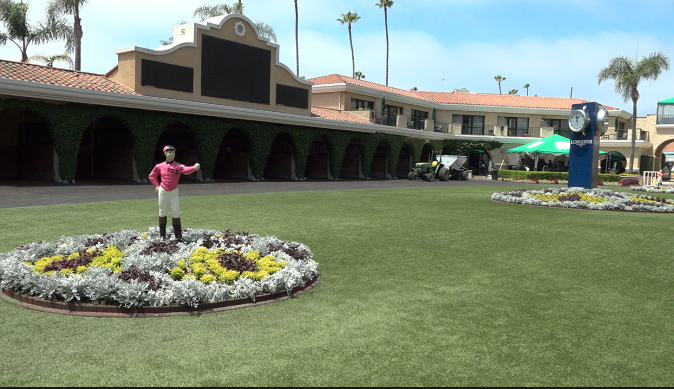 del mar flowers.png