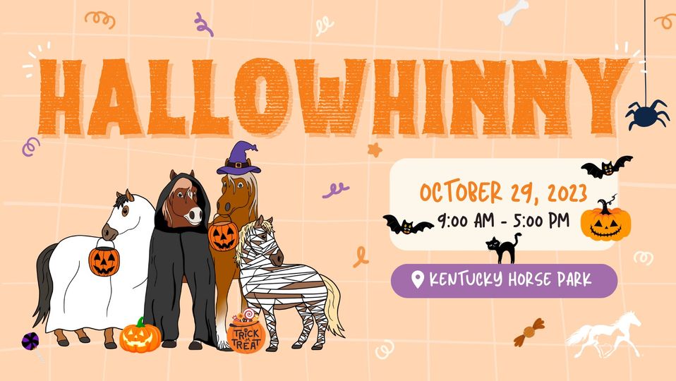 Hallowhinny web photo.jpg