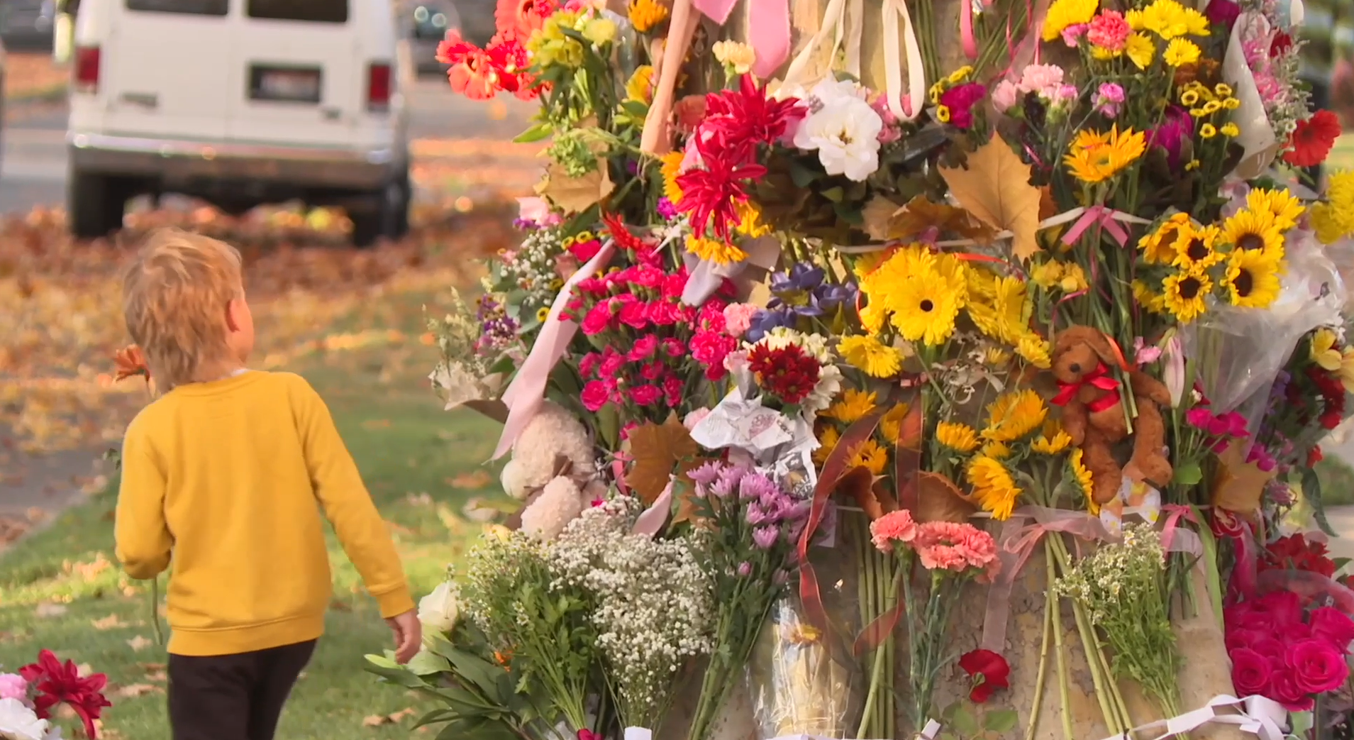 Screenshot 2025-11-14 104907.png