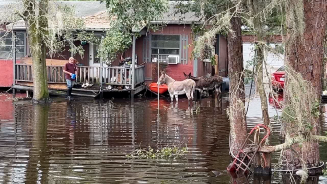 Northwest Lakeland Flooding.jpeg