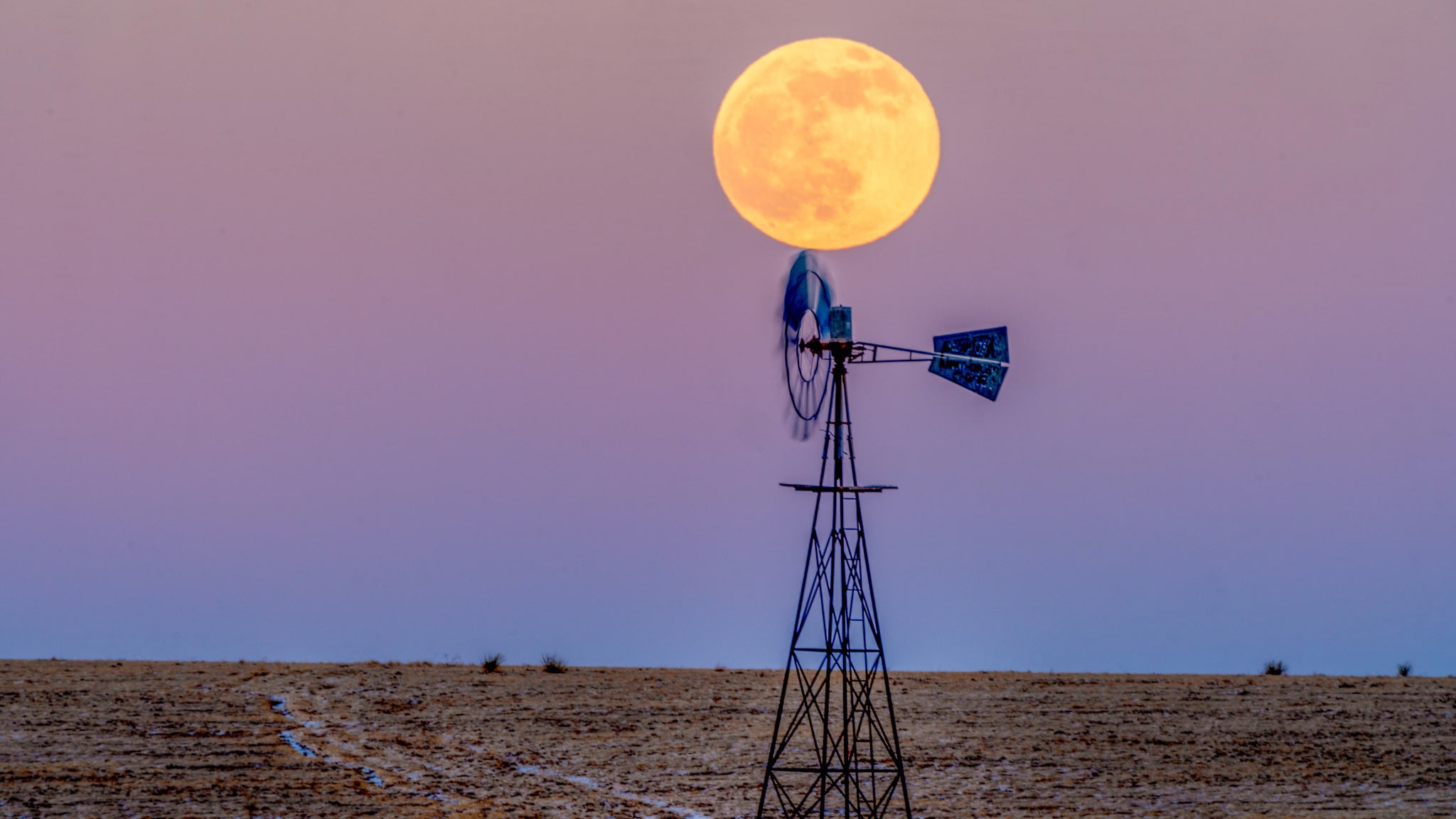 Daniel Forster full moon December 2020