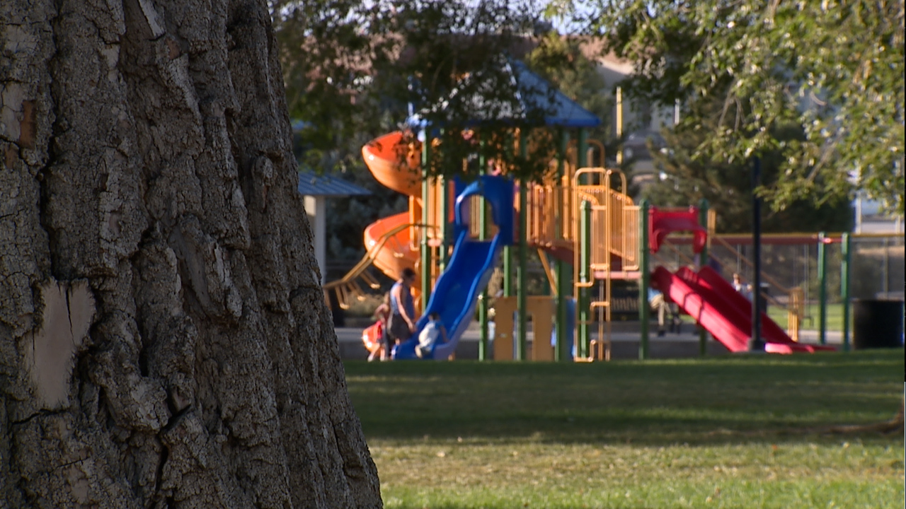 Hundreds of thousands of children left orphaned during pandemic, family reflects on their loss 