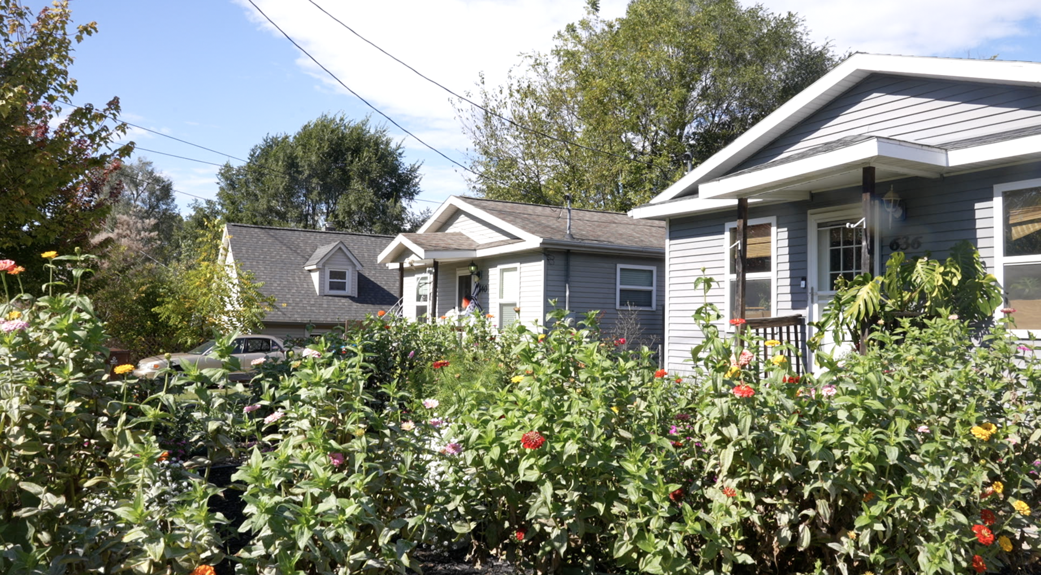 The Village Flower Farm 