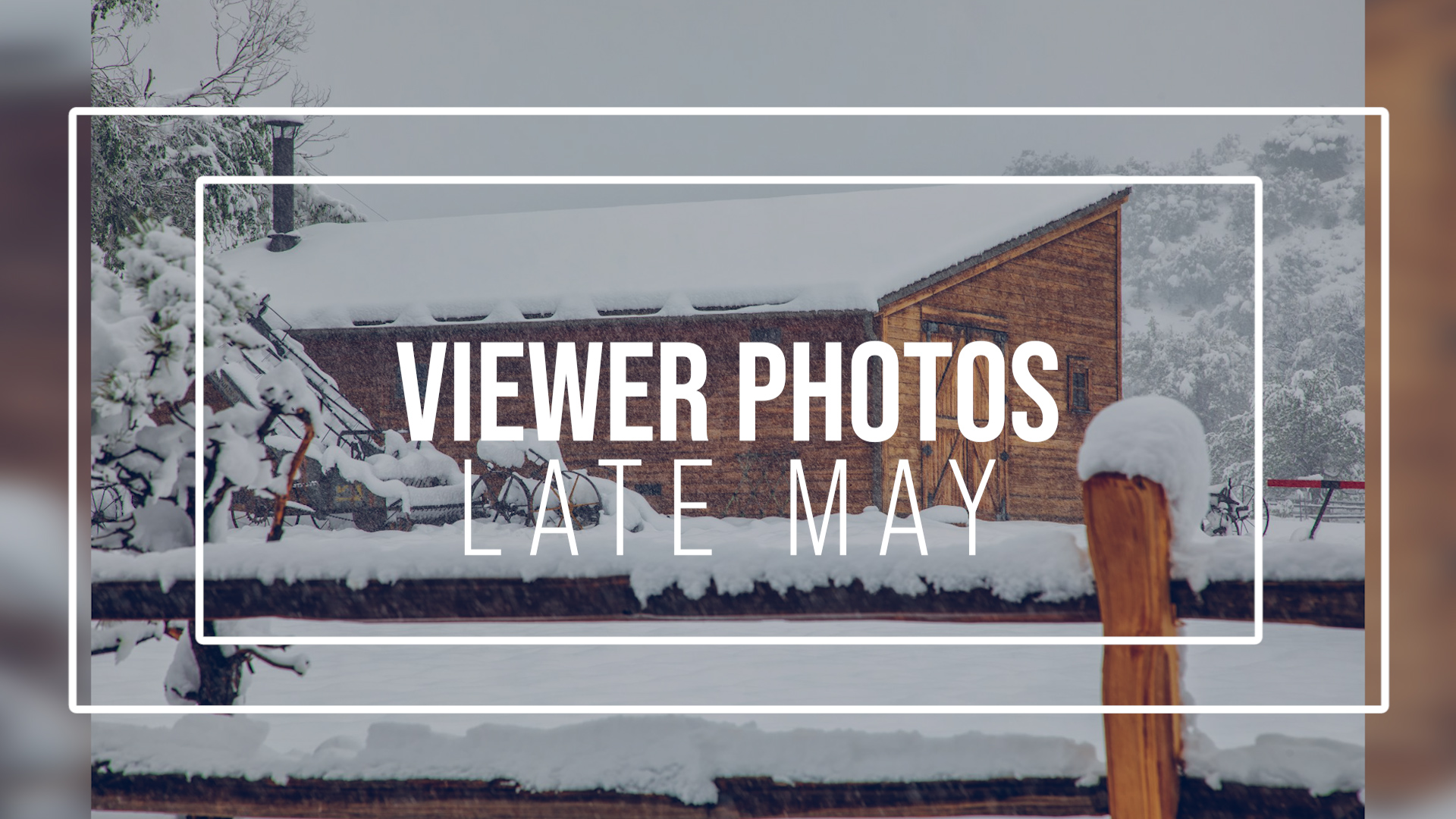 Viewer Photos: Late May