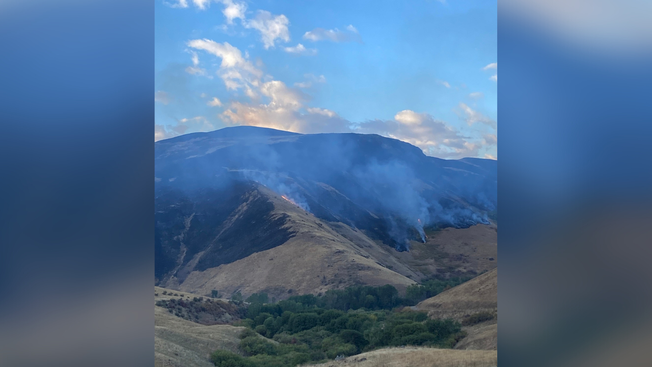 Emmett lightning fire 