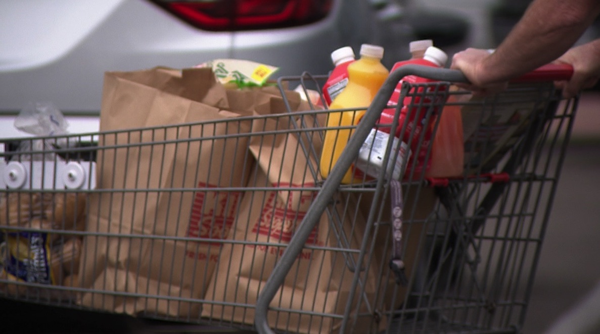 Plastic bags banned in large Fort Collins grocery stores