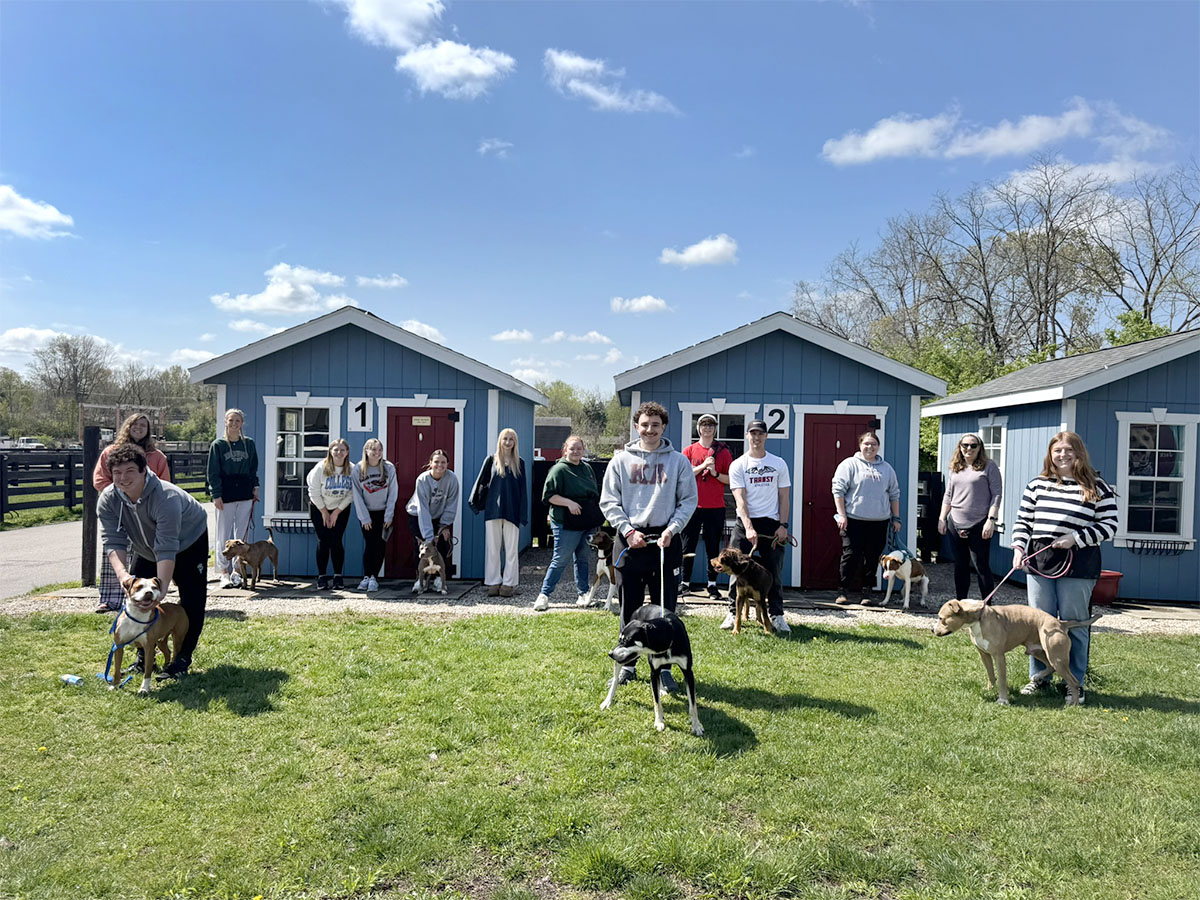Canine Cognition Course
