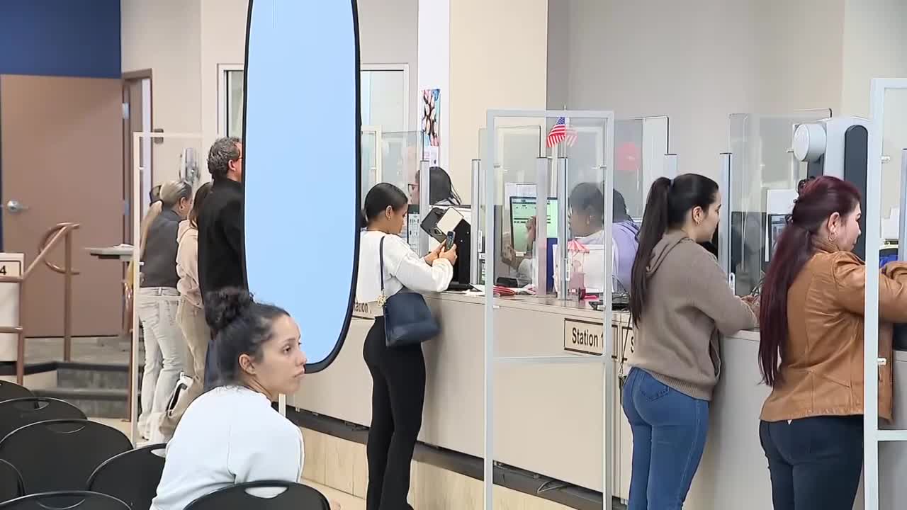 DMV poster image.jpg