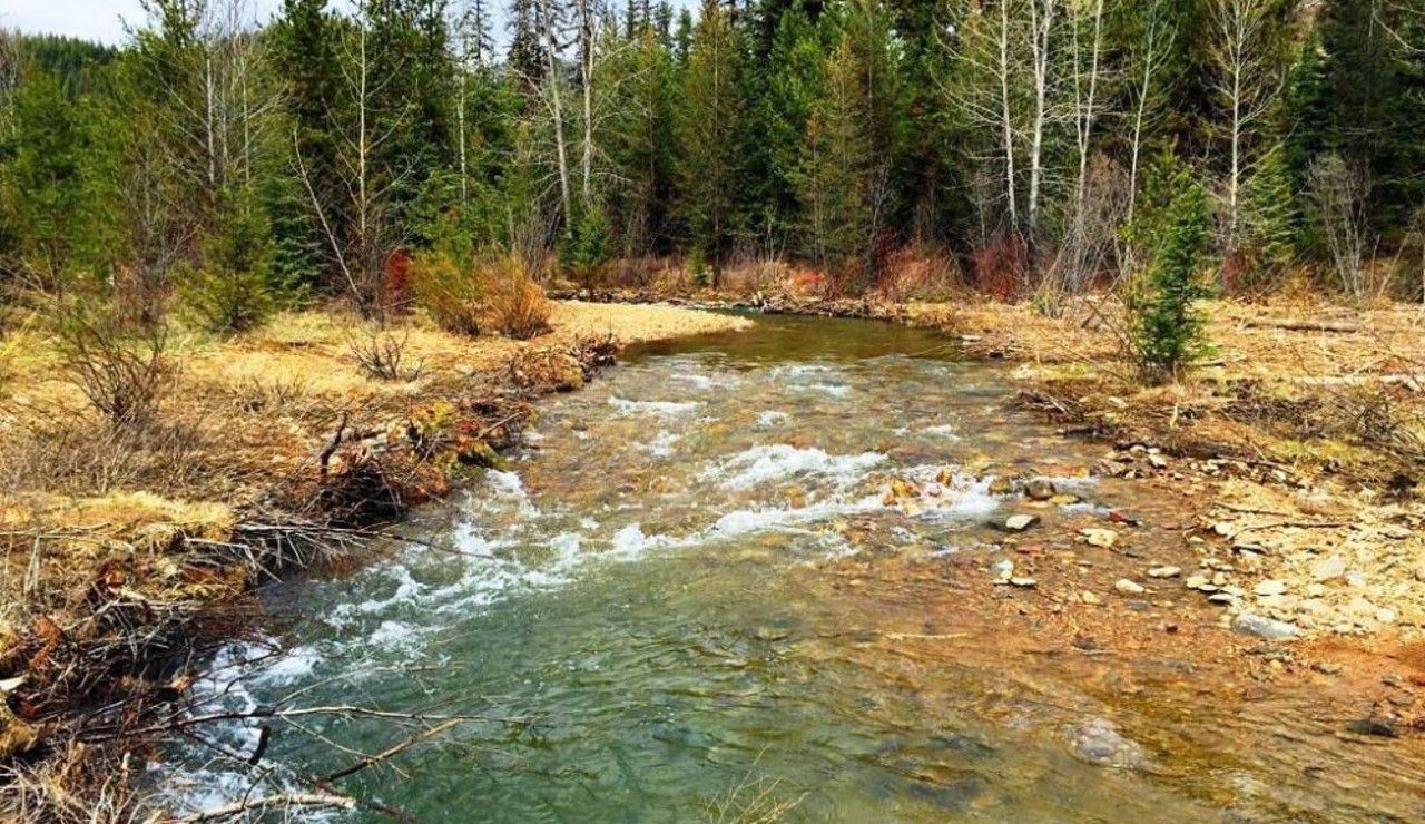 Upper Ninemile Creek
