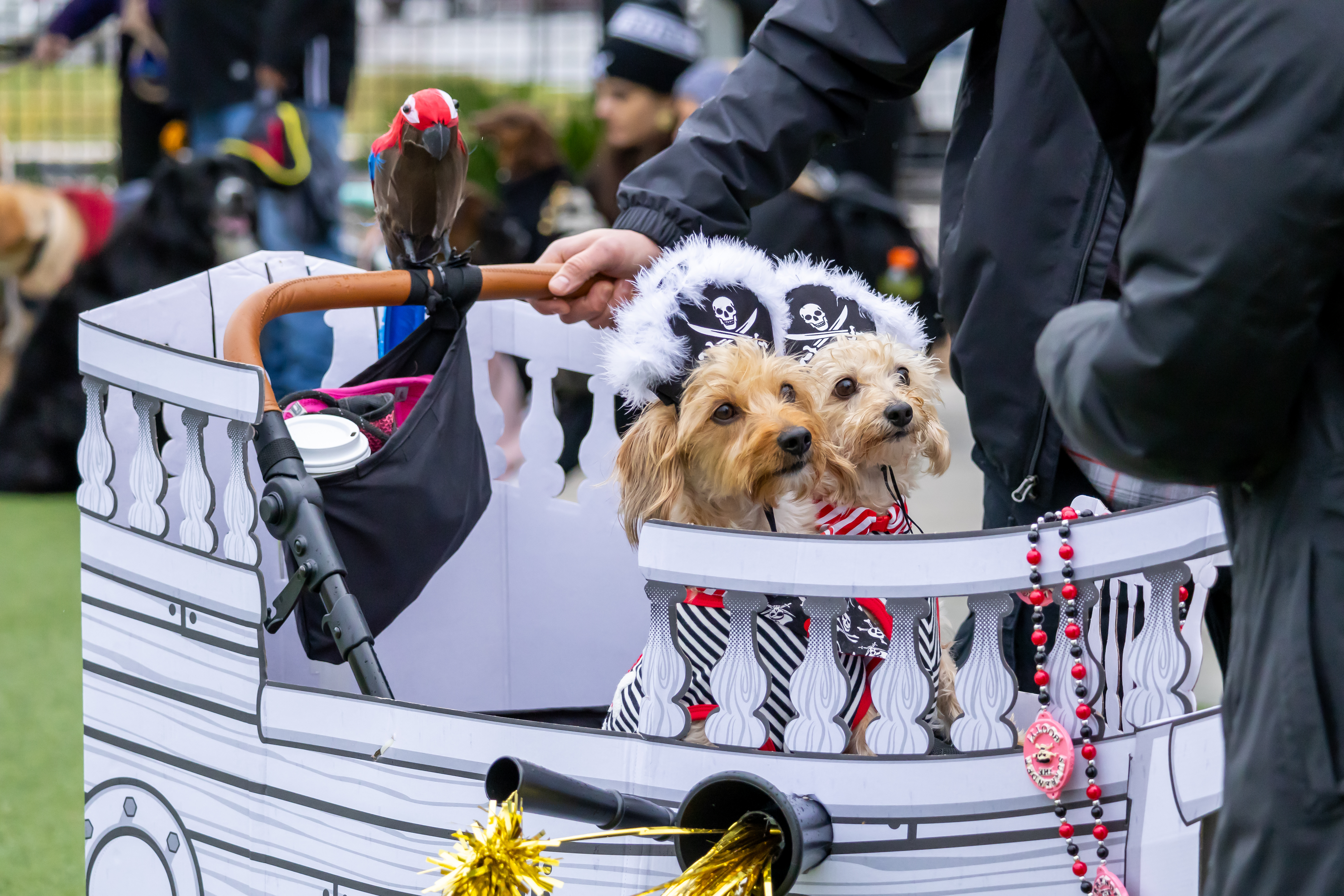 Pirate Pup Parade Water Street