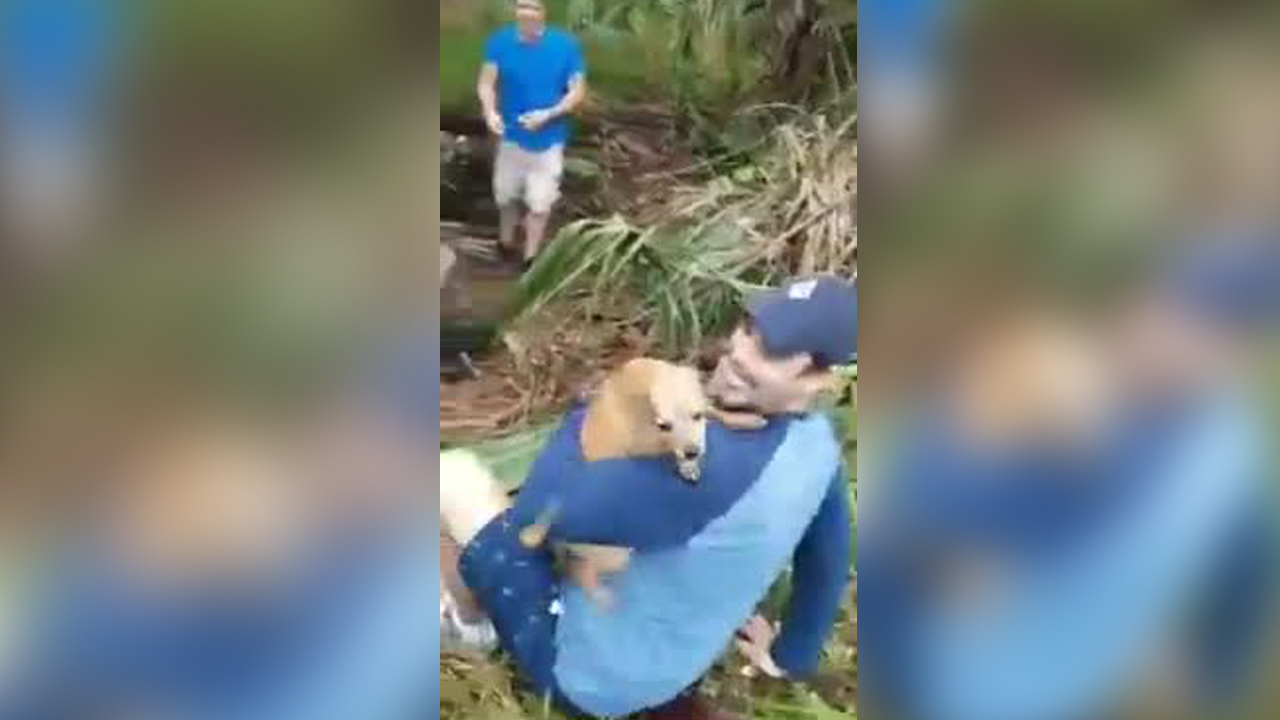 wptv-dog-reunited-owner-crash.jpg