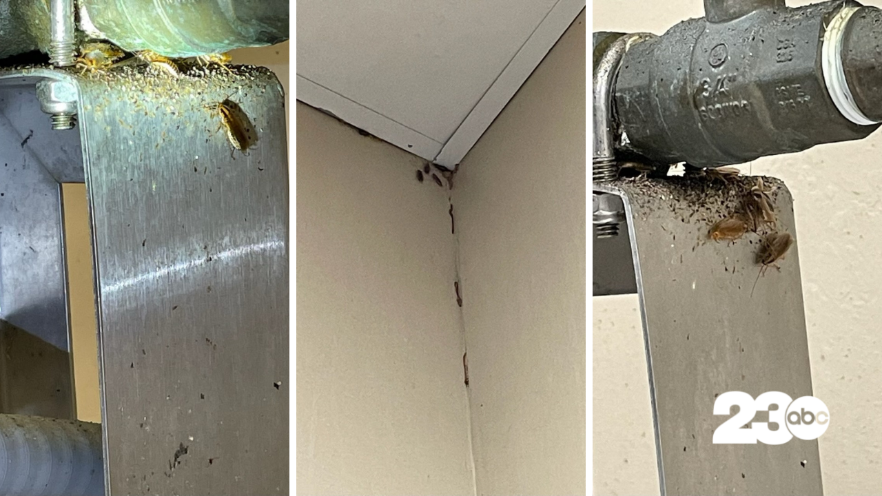 Ruben's health violation.png