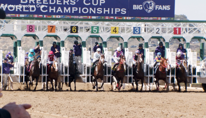 breeders cup.png