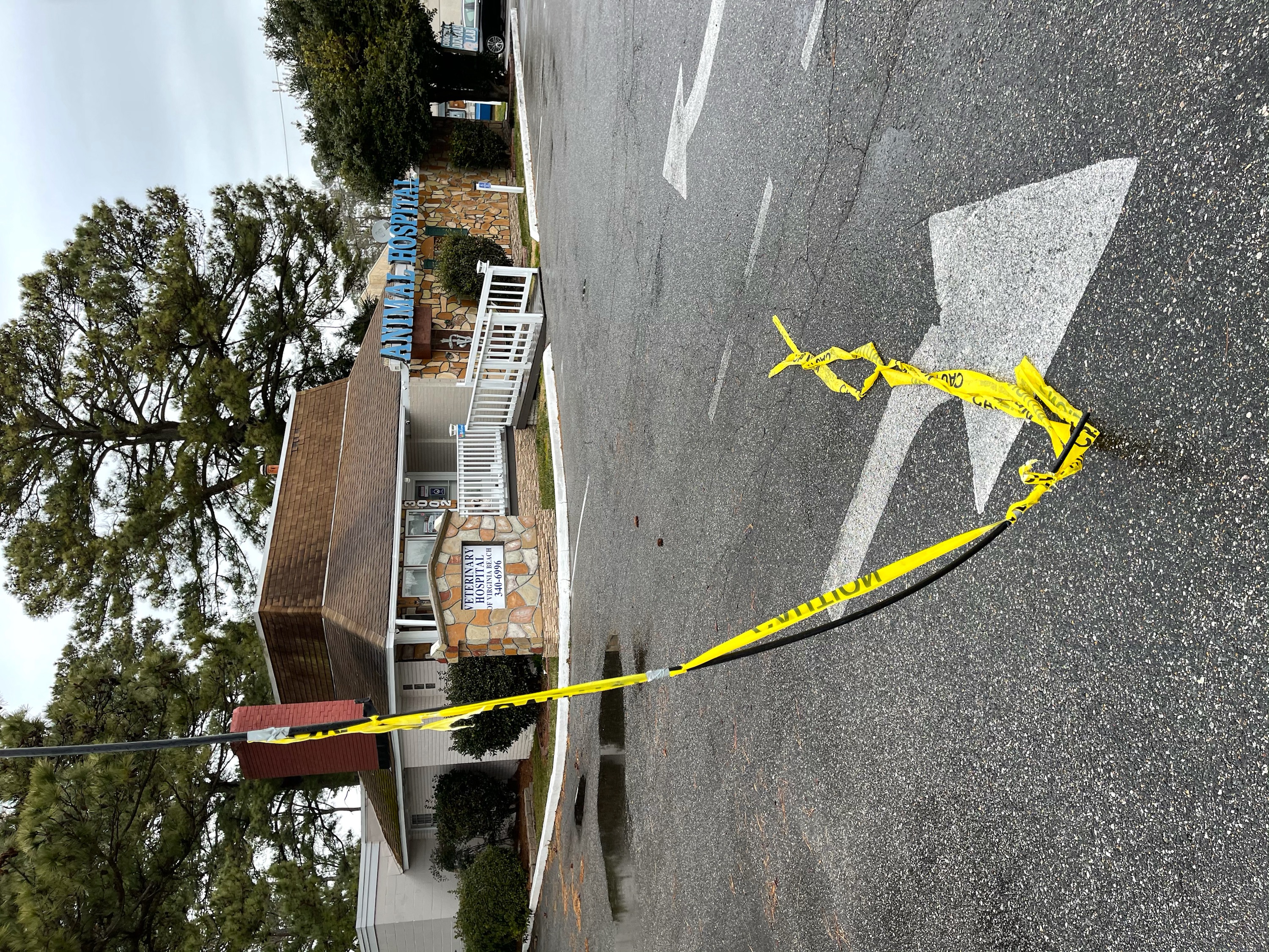 Downed line in Virginia Beach.JPEG