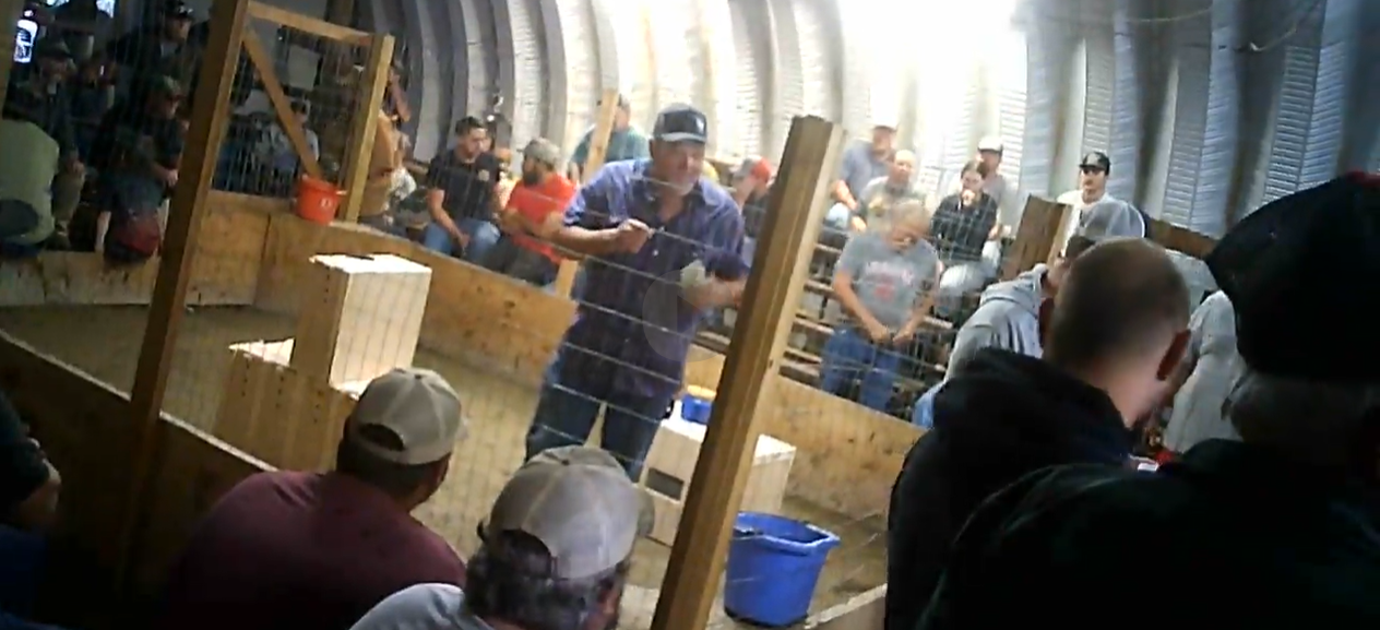 cock fighting investigation Jeff Coleman