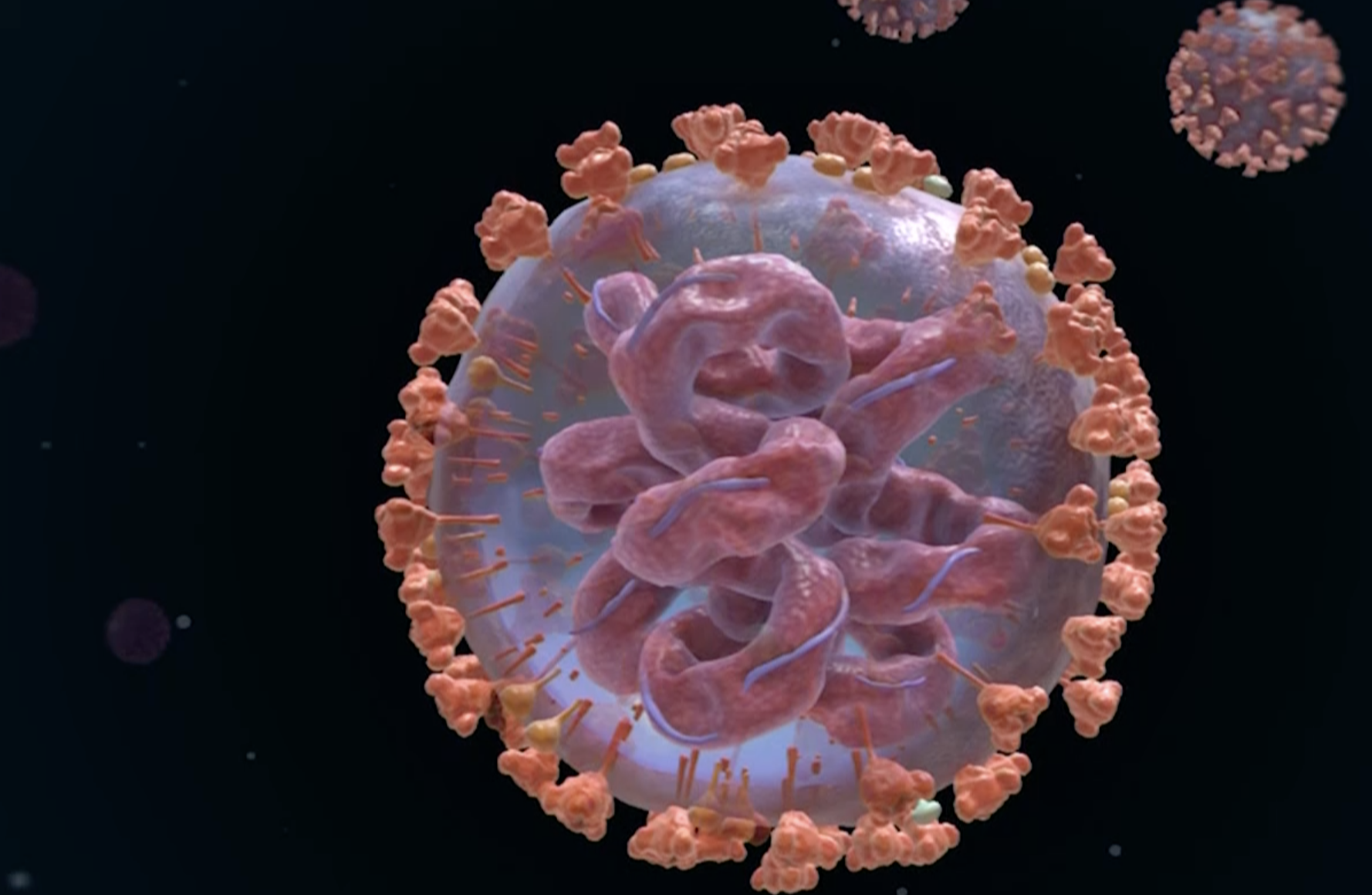 Coronavirus RNA