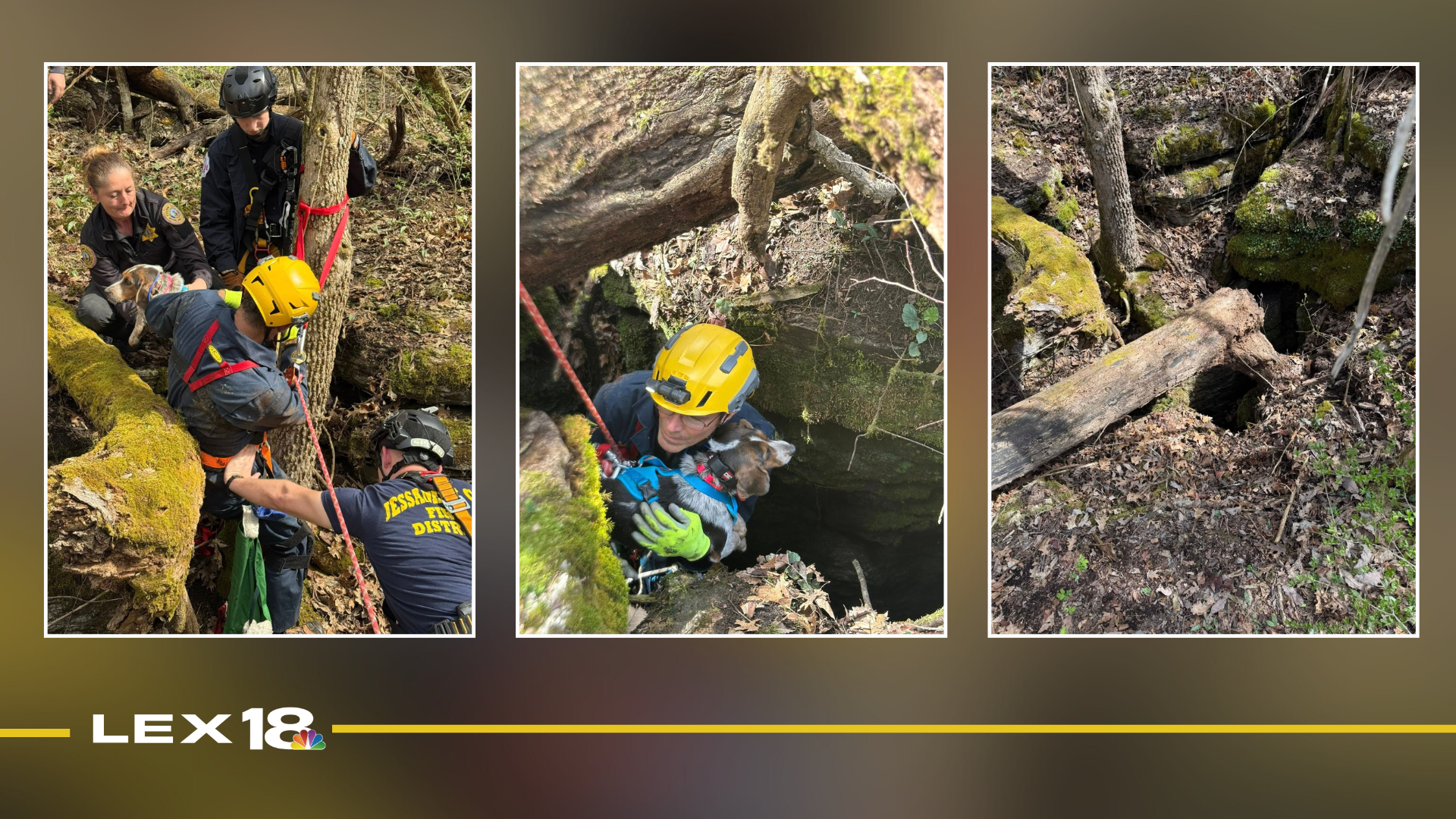 Jessamine County Fire District rescues pet beagle 