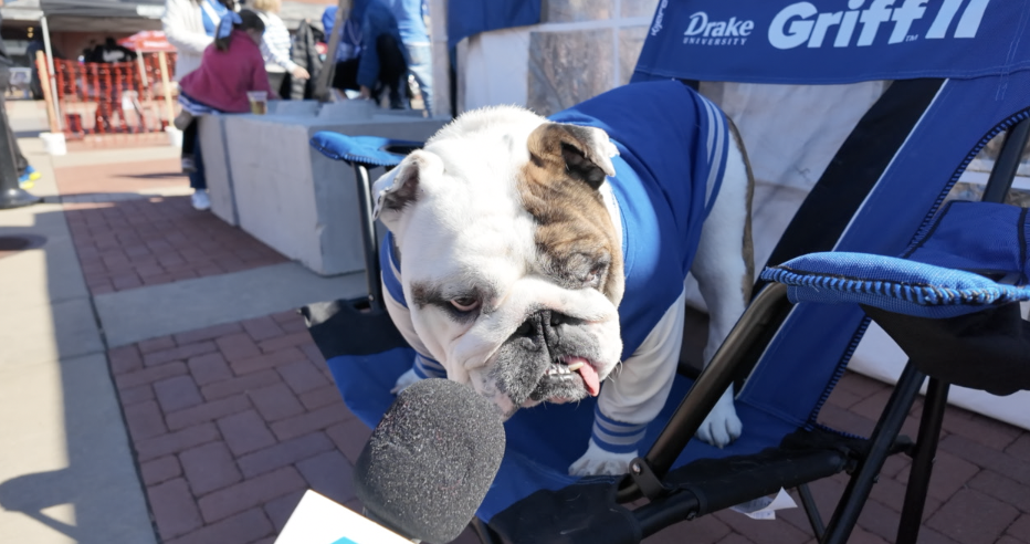 Griff II, the Drake Bulldog's mascot represents at the alumni tent