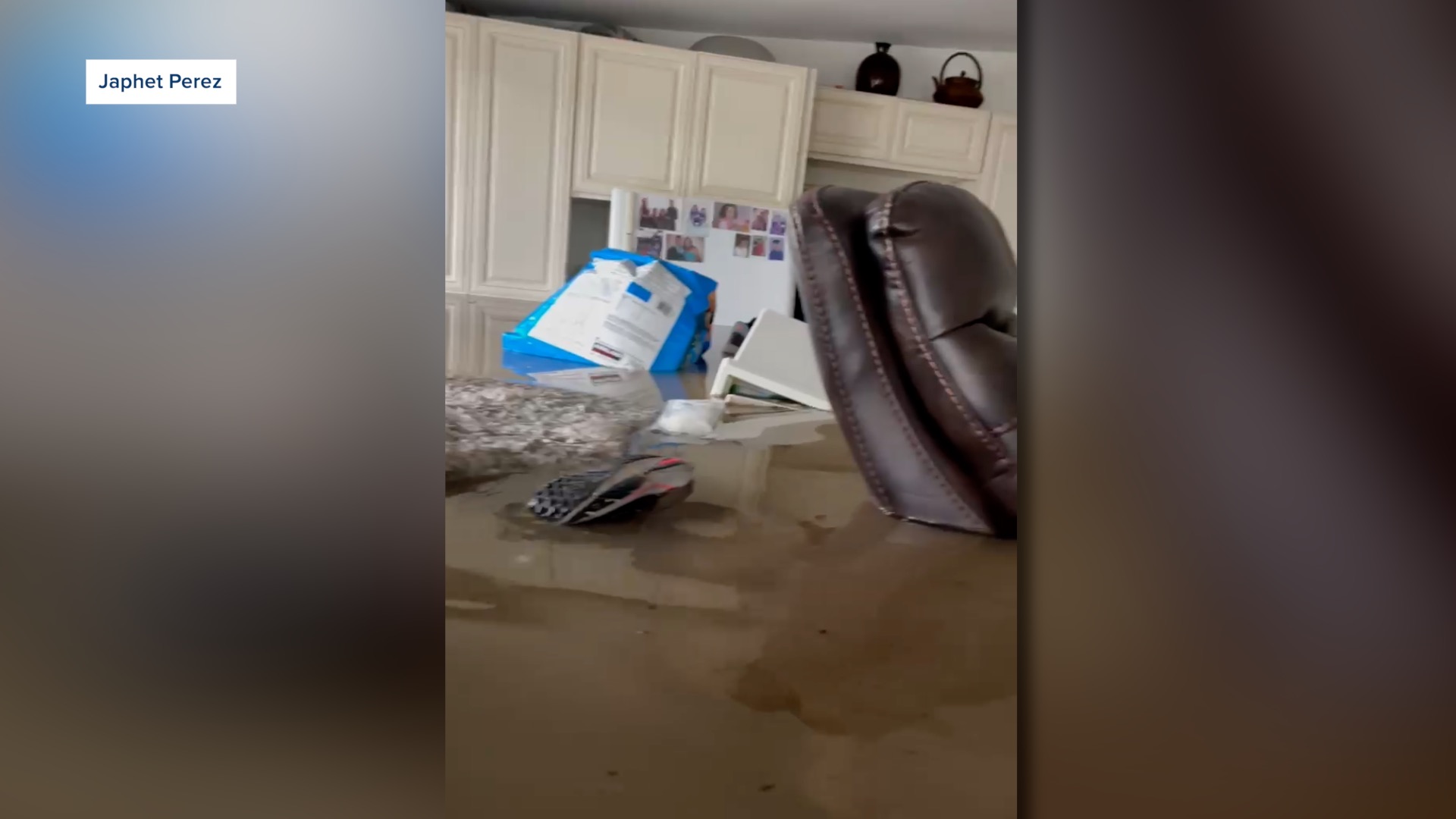 Japhet Perez-Estrada swam through his childhood home to rescue his family's cats.