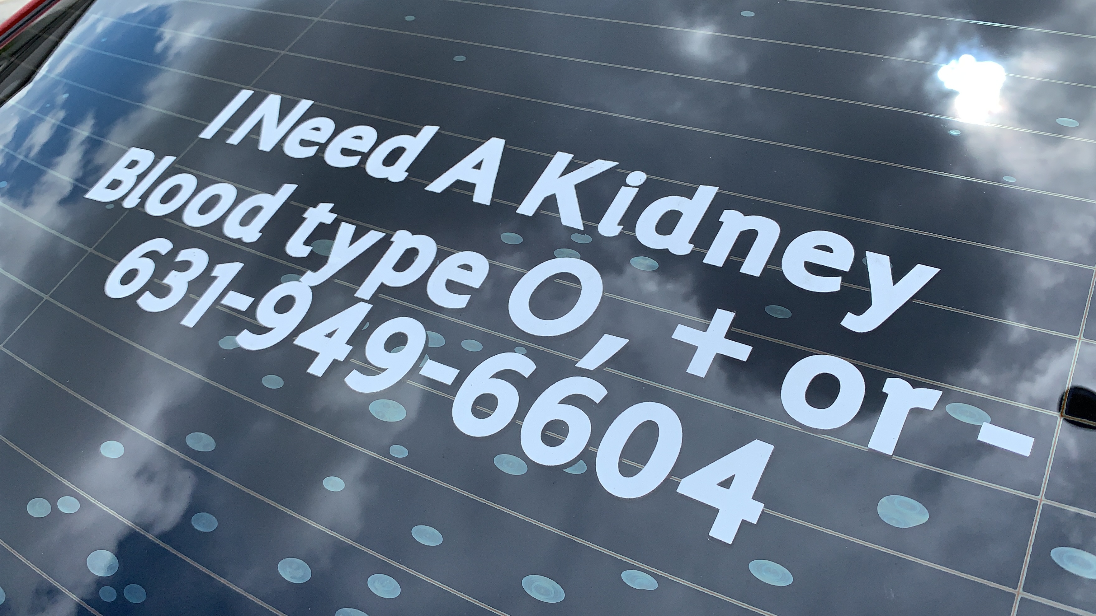 Woman needs a kidney