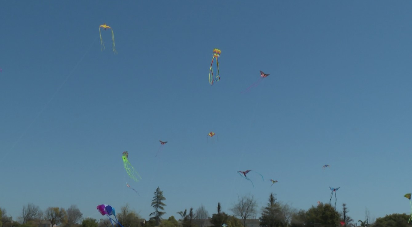 kite festival.jpg