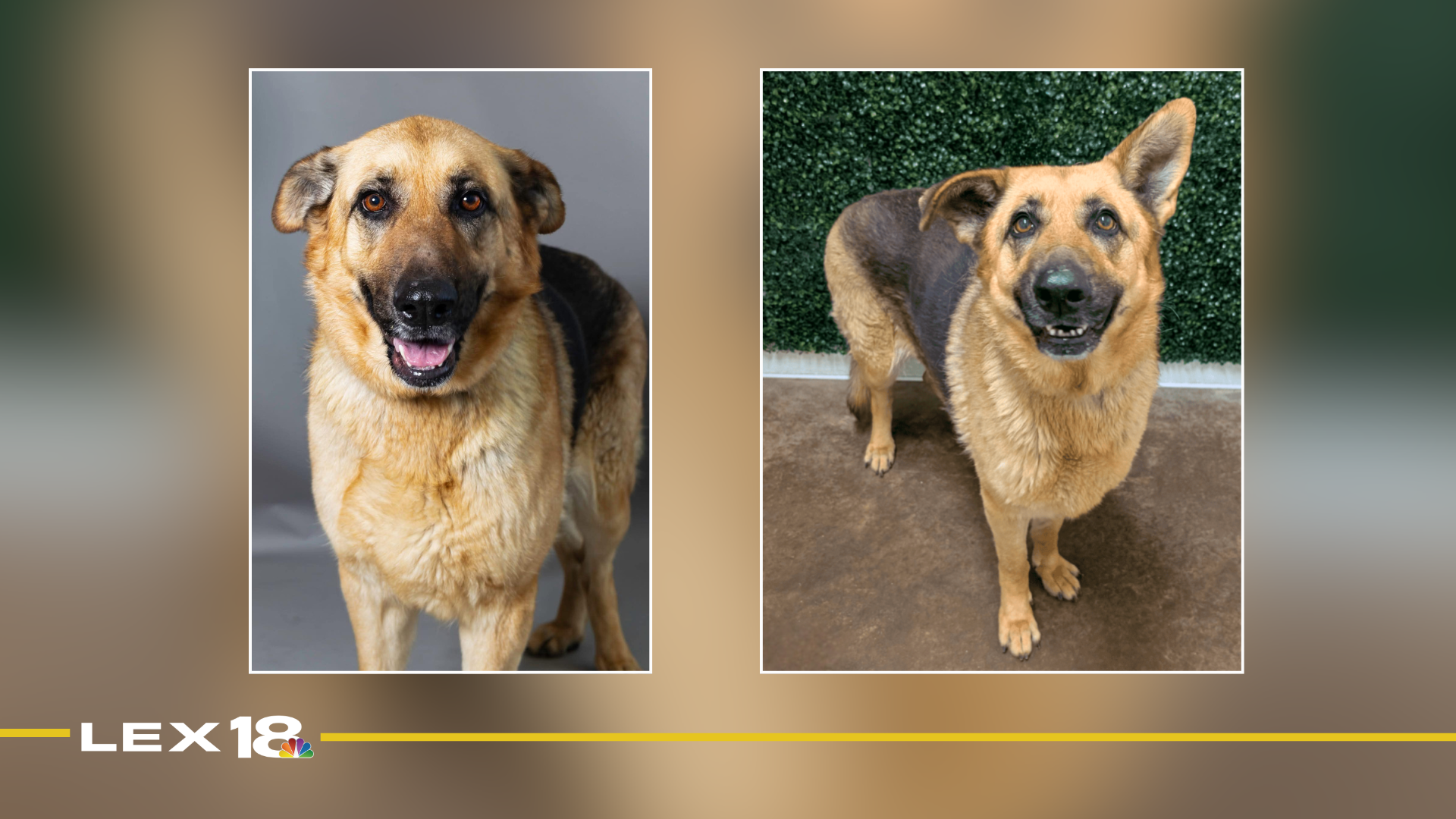 mugshot template  (79).png