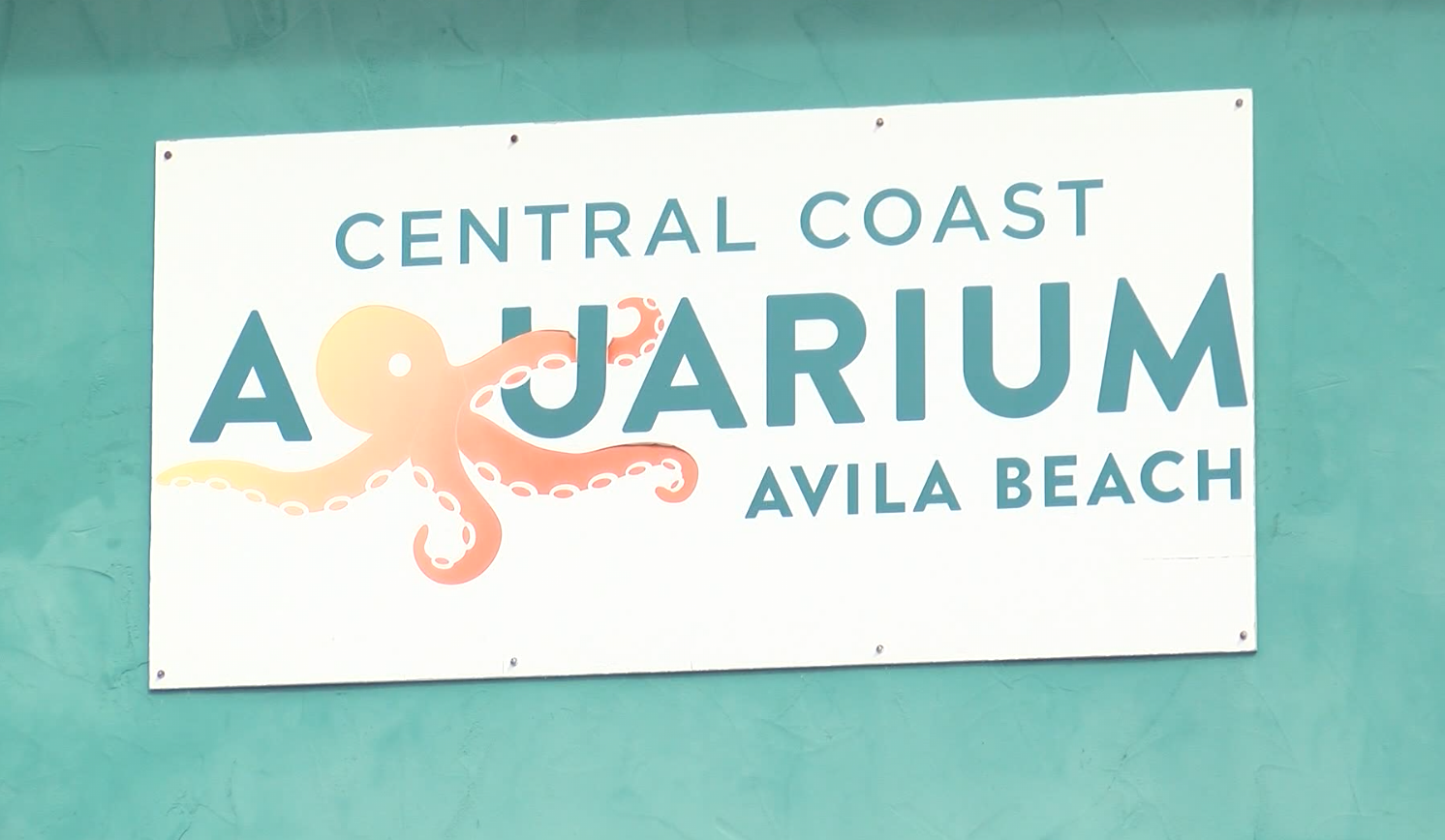 Central Coast Aquarium.PNG