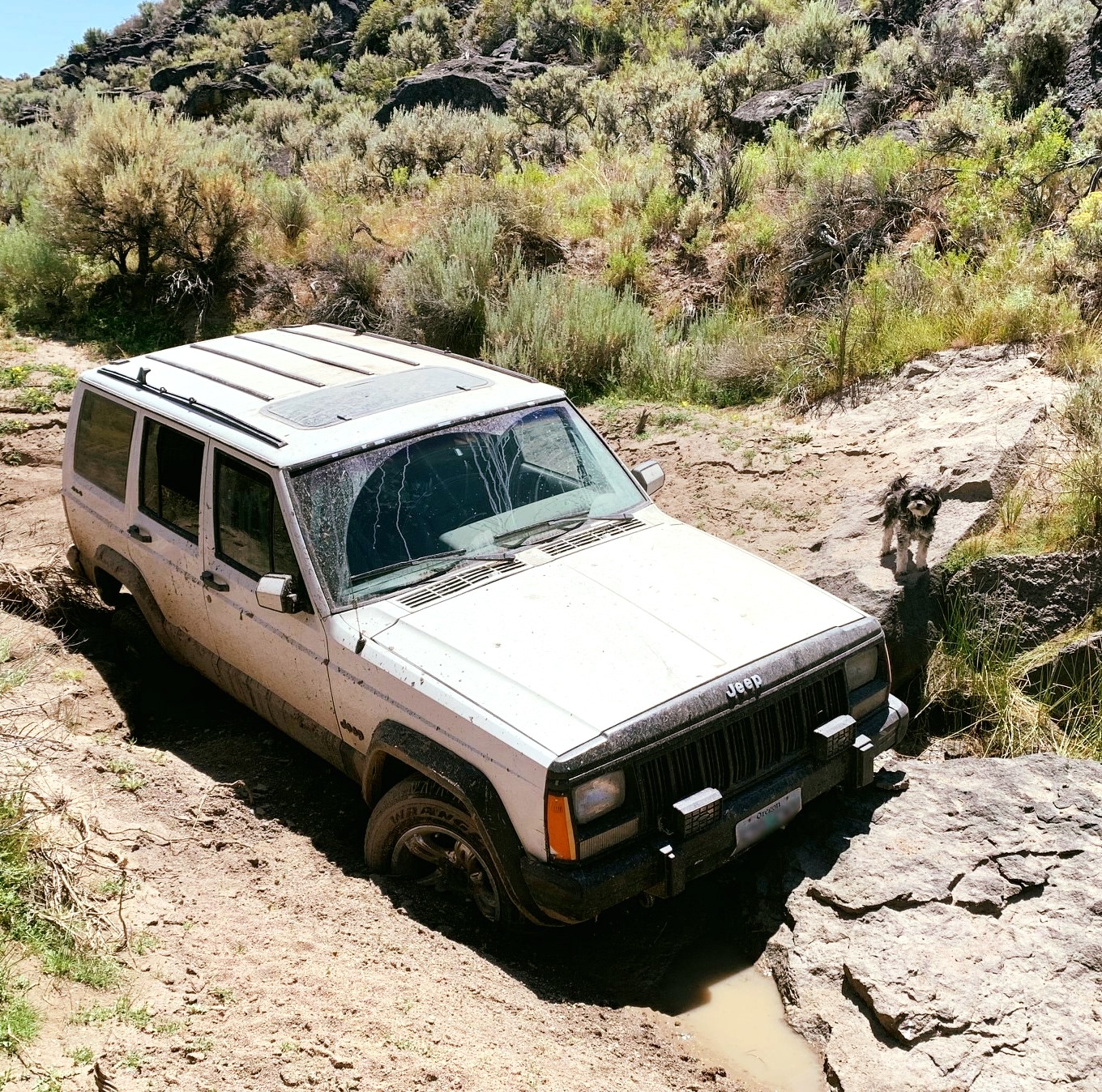 OSP CAR.jpg