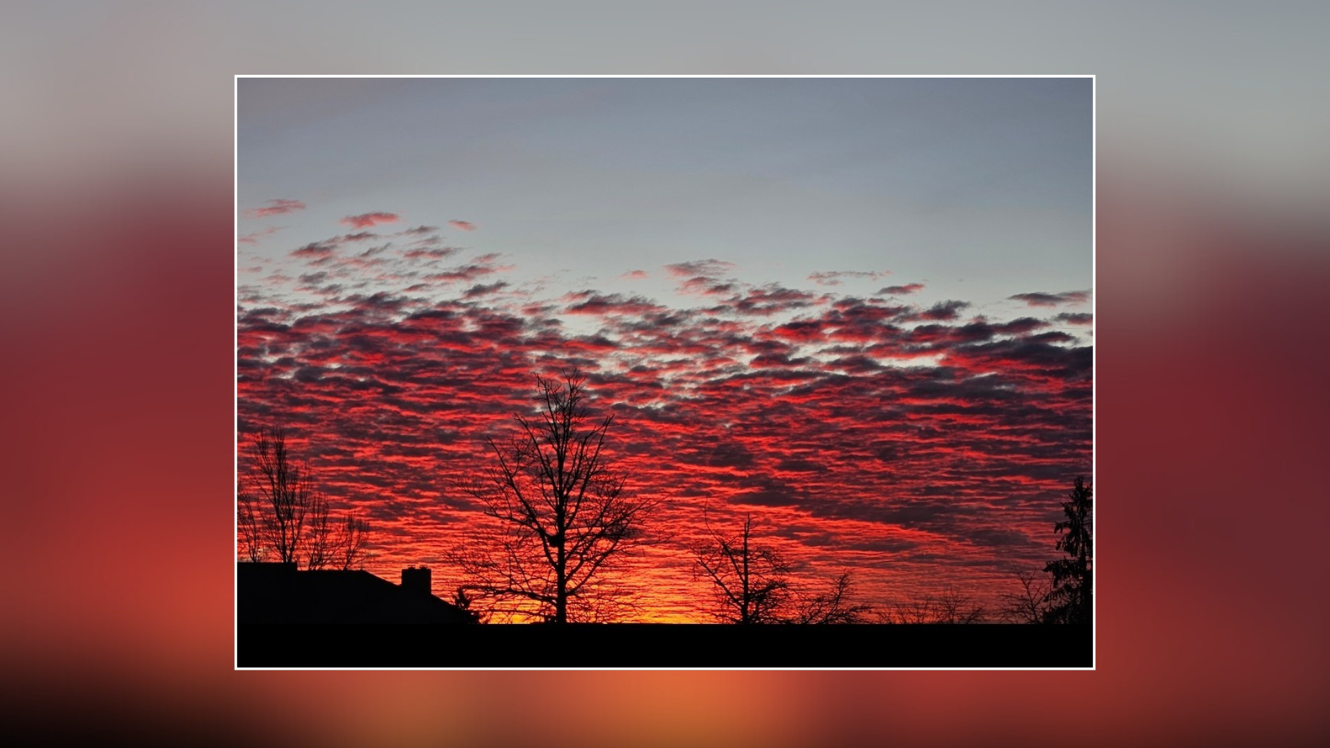 Featured Image Custom Edit (15).png