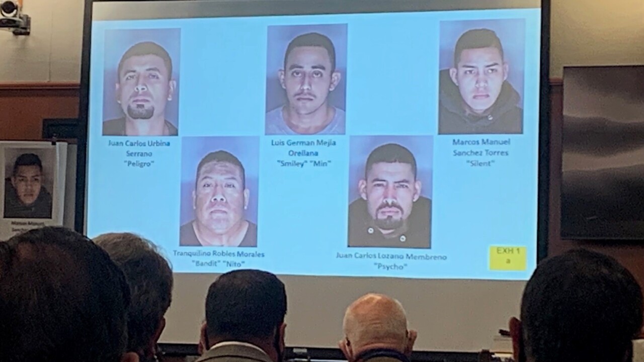 ms13.jpg