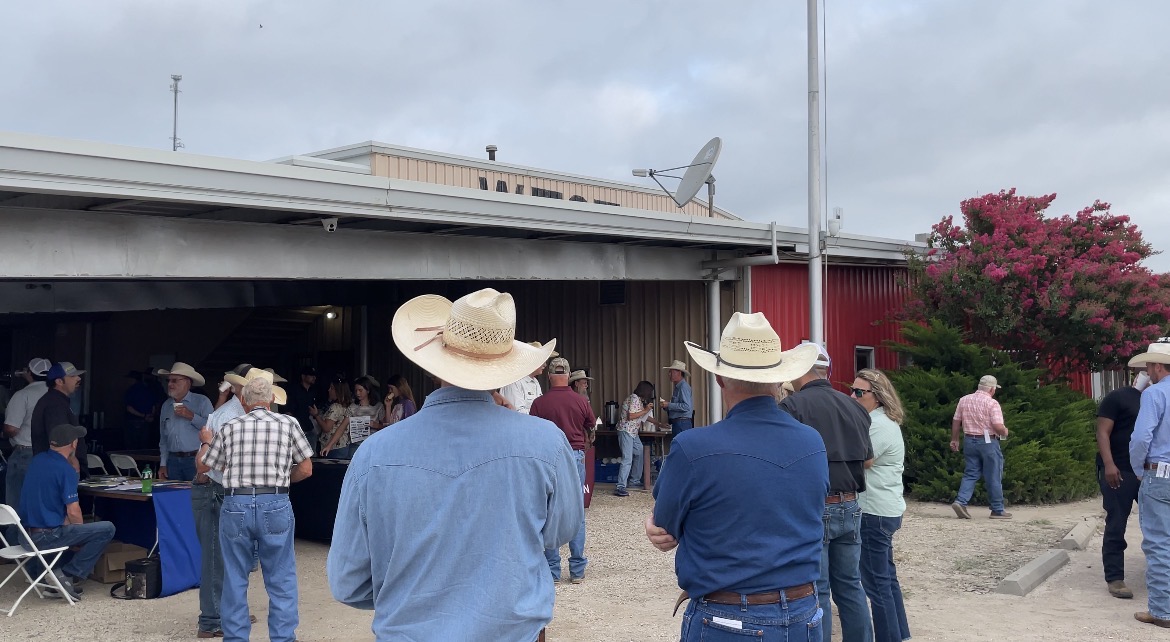 CATTLE PROGRAM