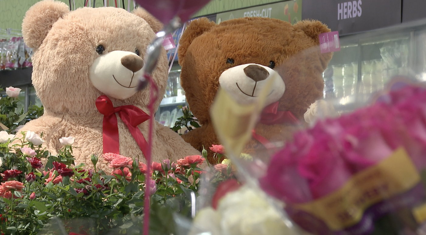 Valentines Day bears 