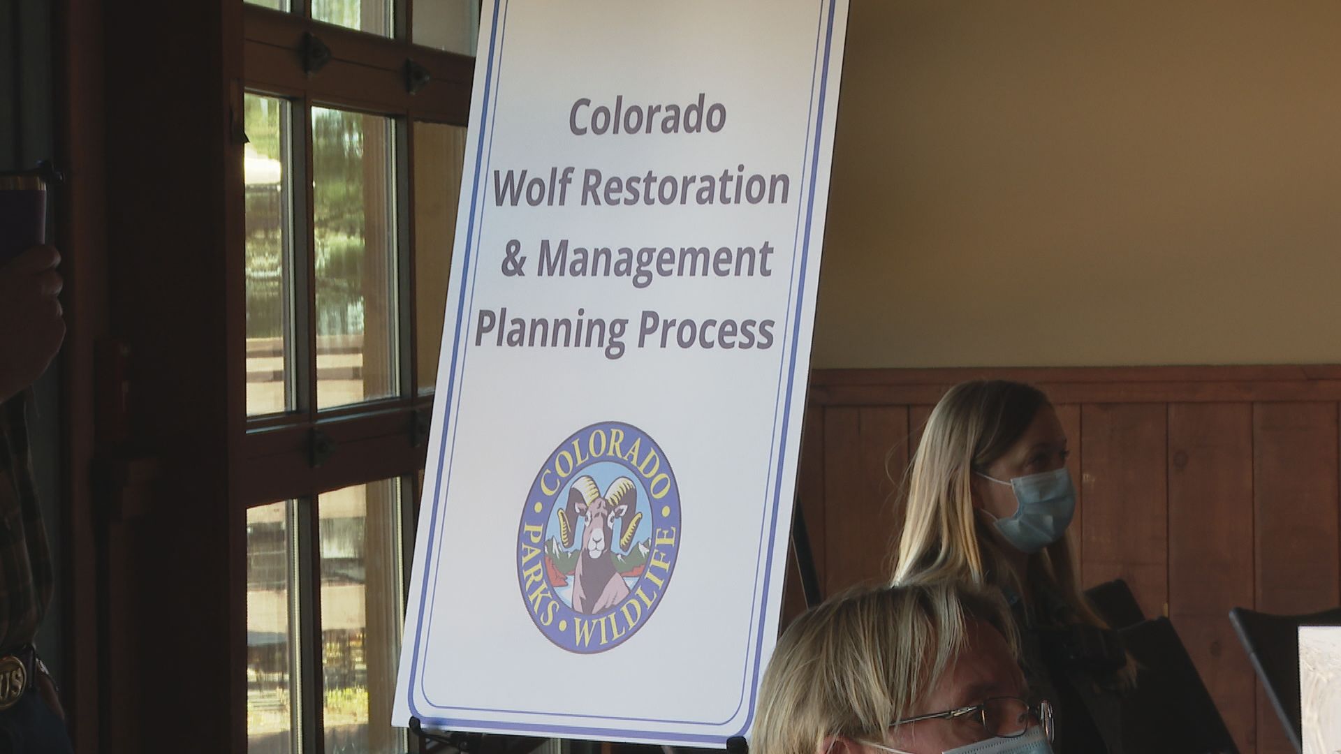 wolf reintroduction
