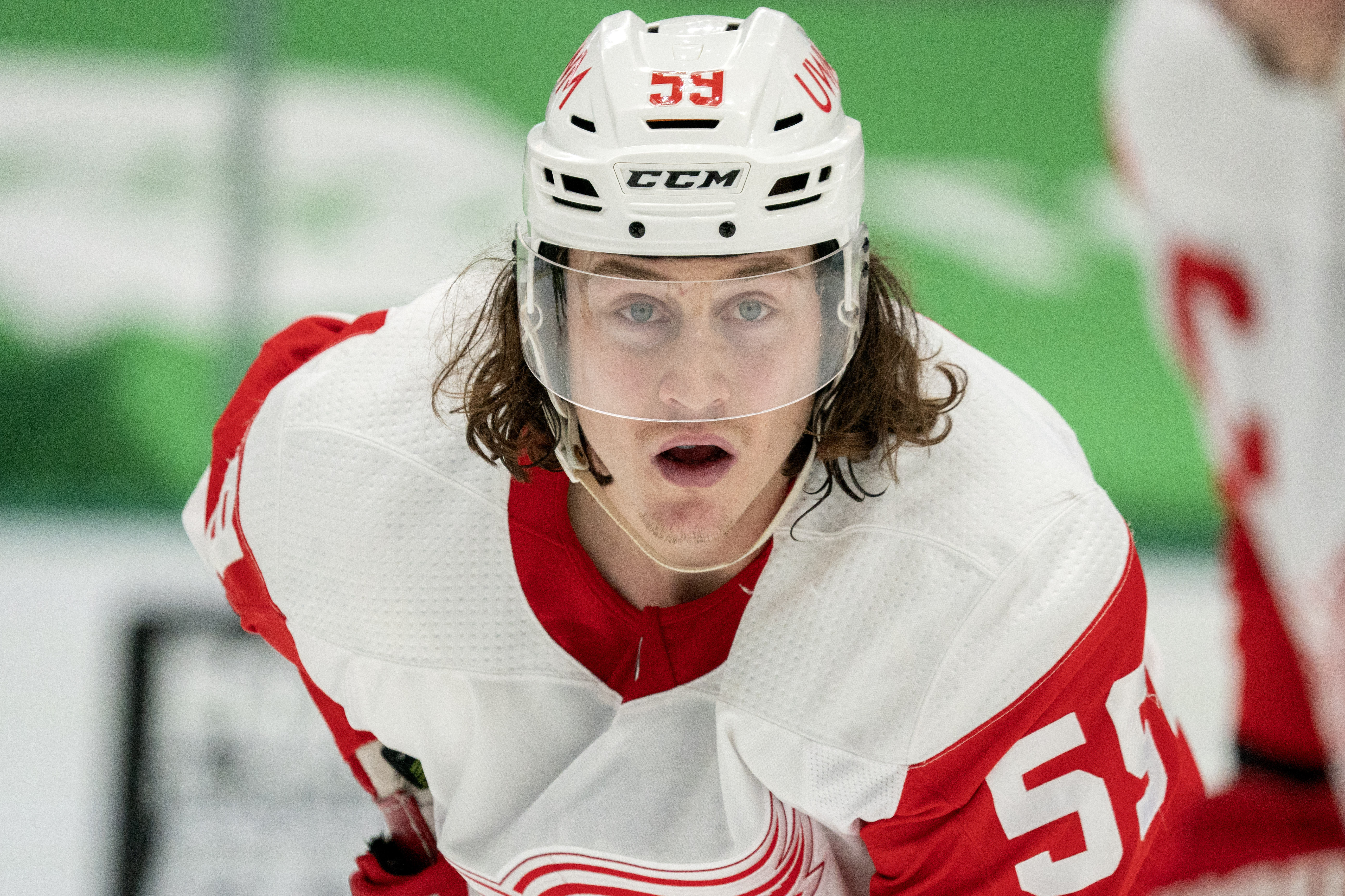 Tyler Bertuzzi Red Wings Stars Hockey
