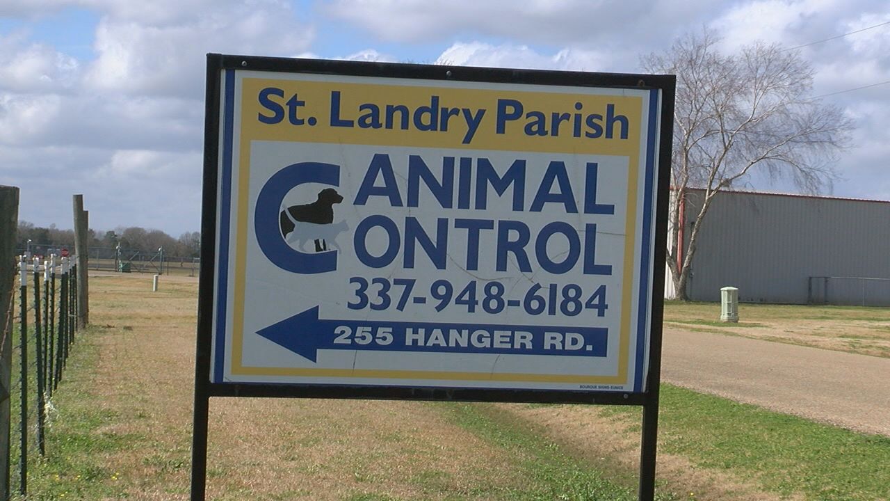 animal control.jpg