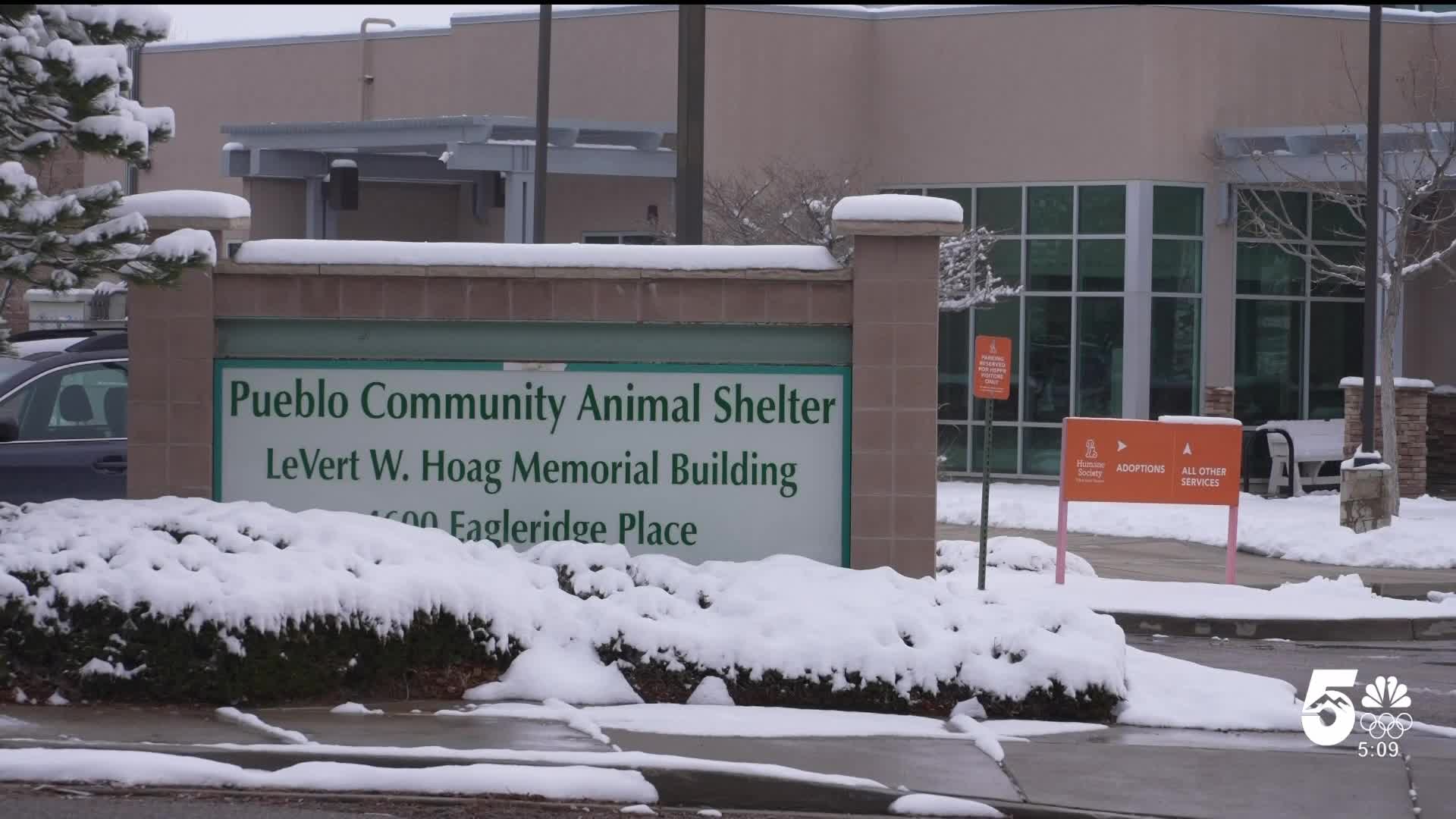 Pueblo Community Animal Shelter