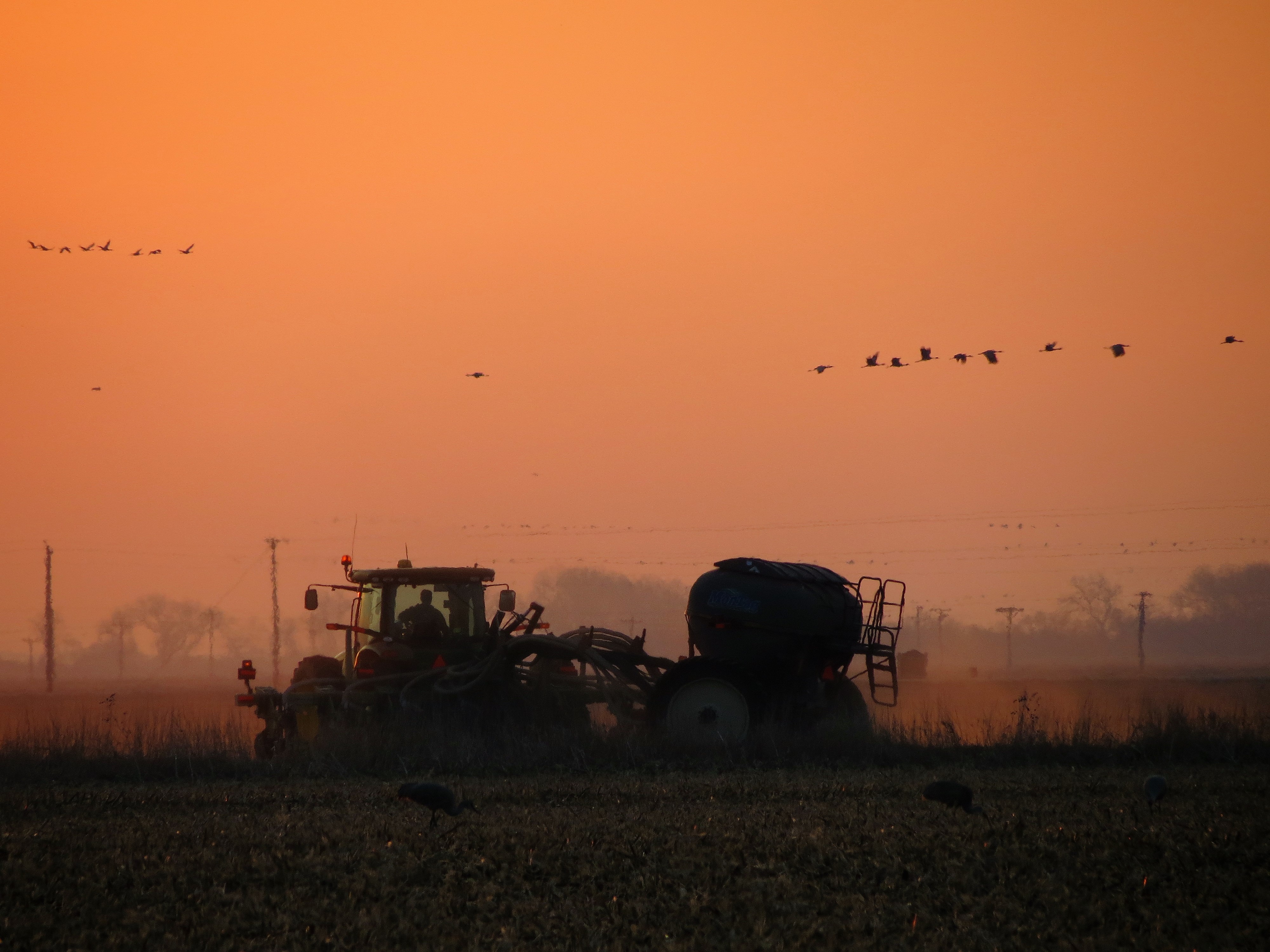 Tractor, cranes in field near Fort Kearny