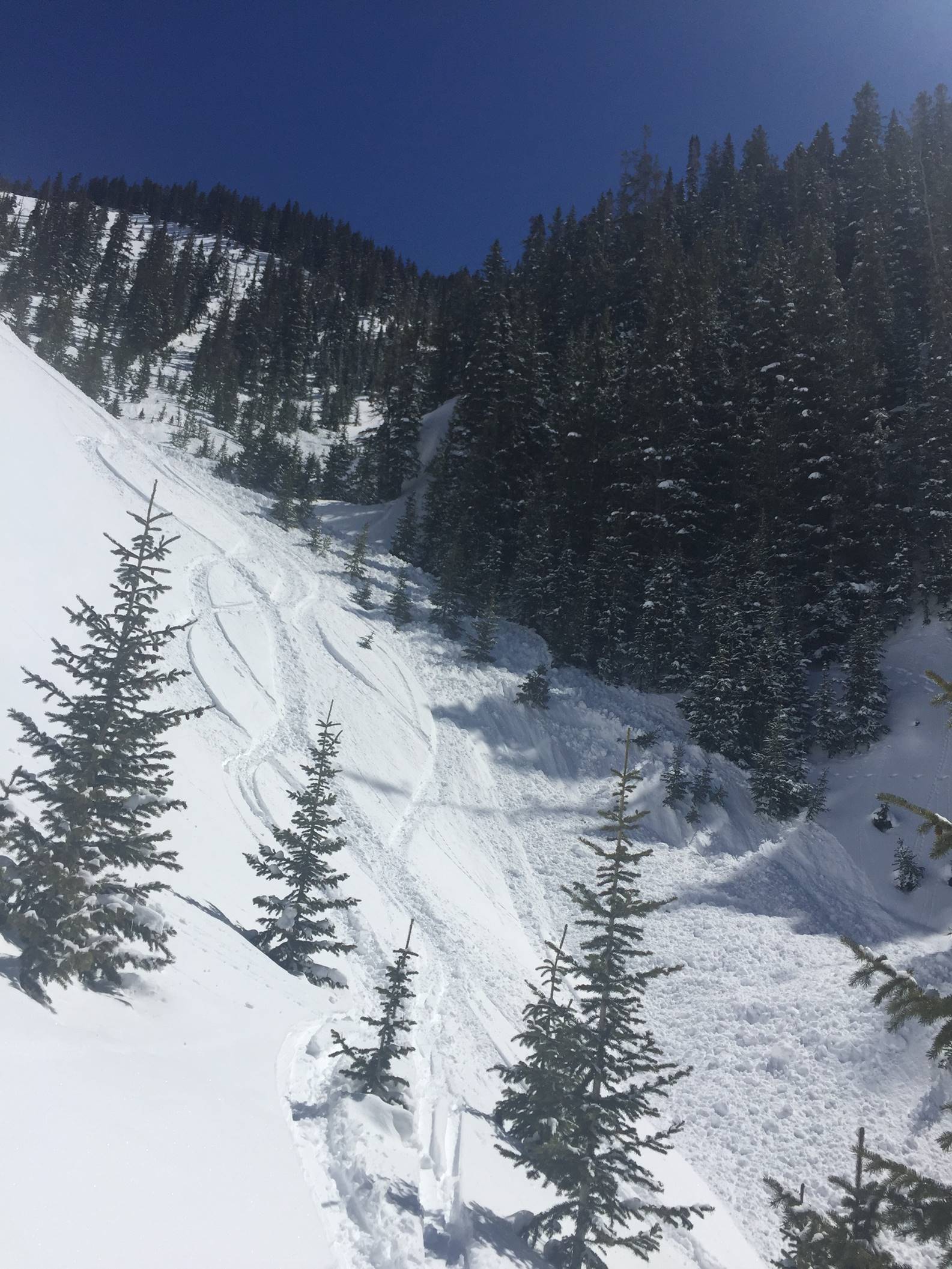March 24 2020 avalanche in San Miguel County, snowboarder injured