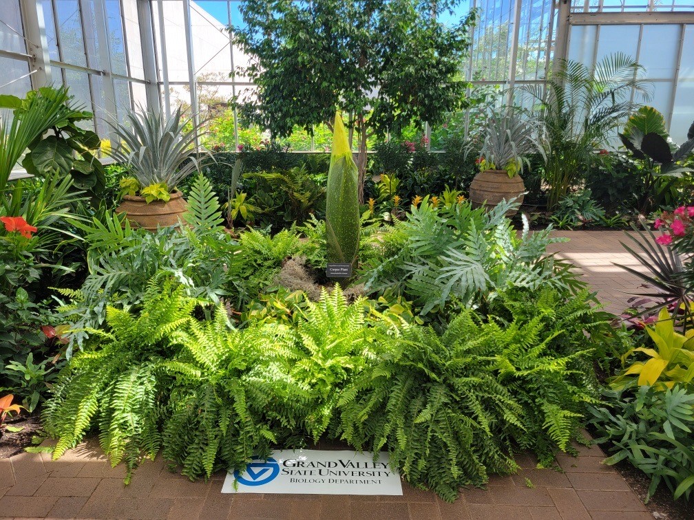 GVSUs The Beast at Meijer Gardens June 2024.jpeg